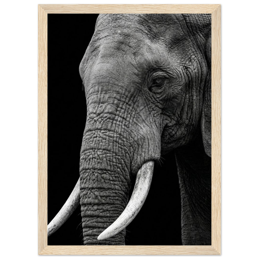 632e5392-05df-4d3e-9451-5f97640bf8b9