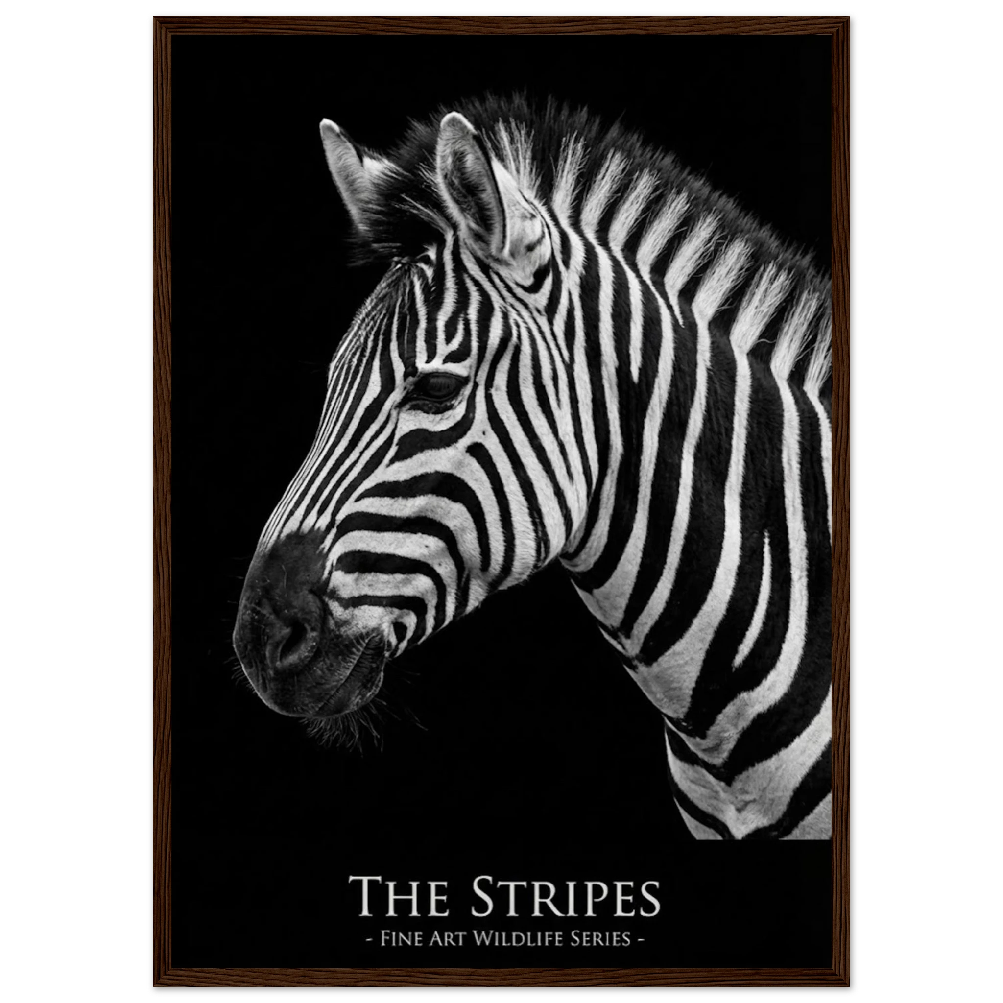 645c9a90-2b00-4650-84ed-fbb65607523a