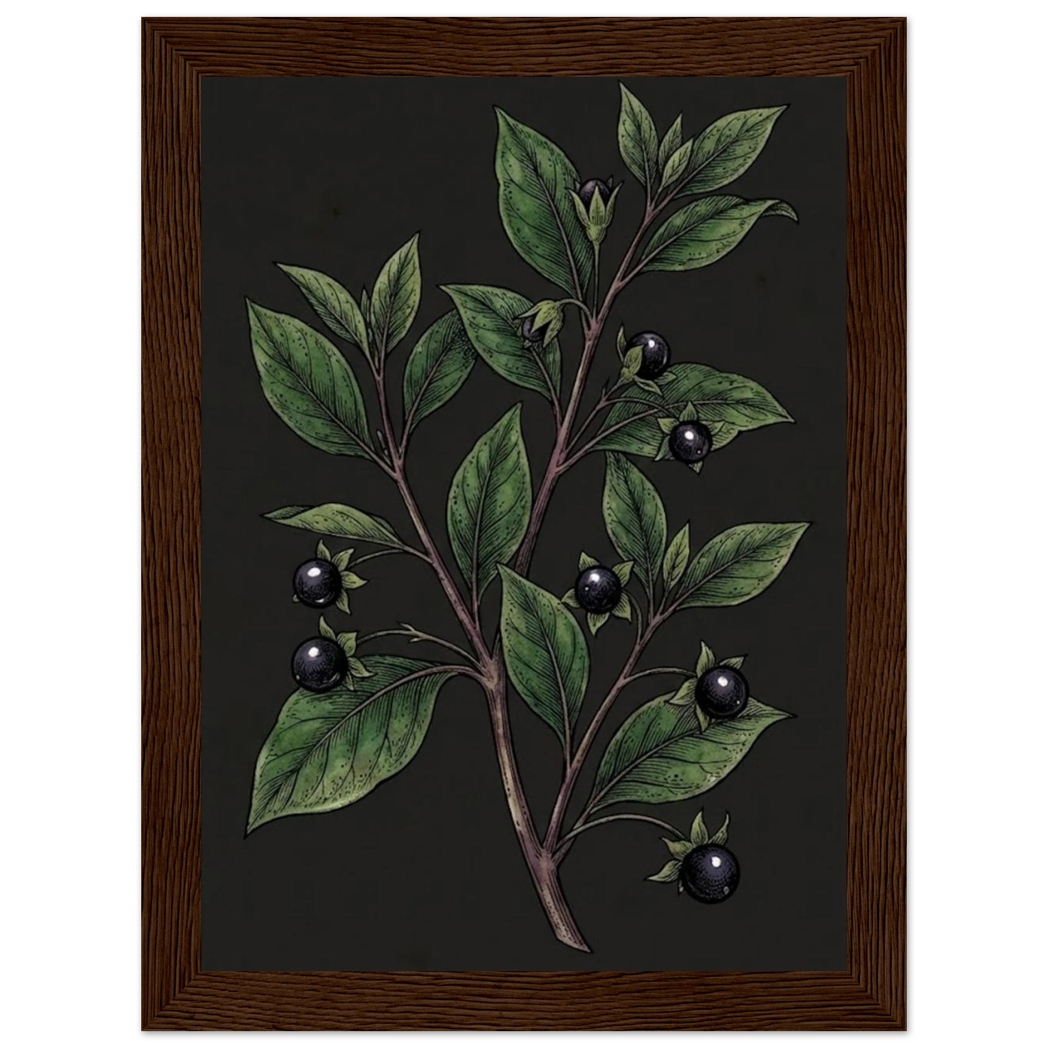 651d8e03-6c4d-4024-aa19-ad525f1284c4