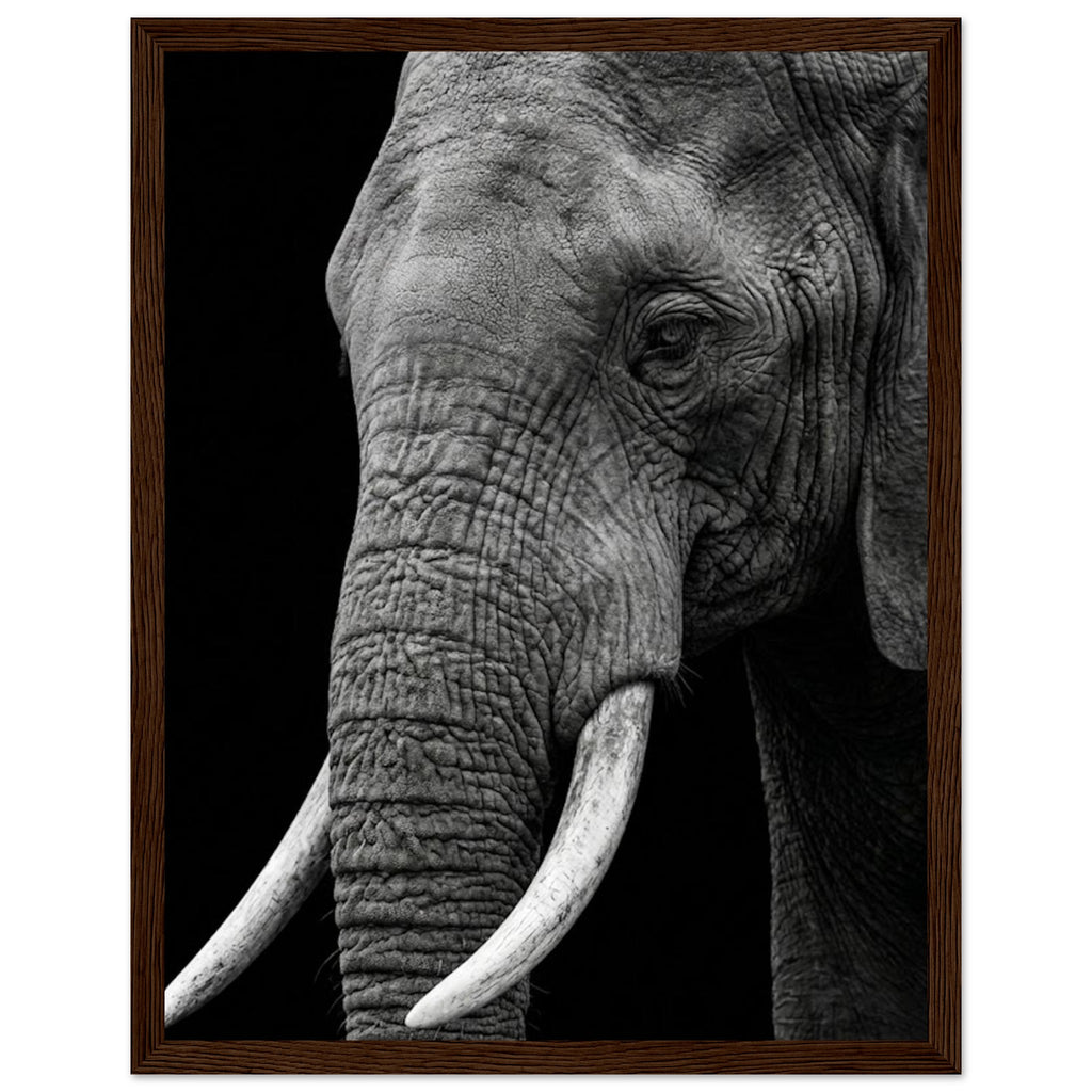 652d692e-c154-406e-8ea5-8ef70ffc14d5