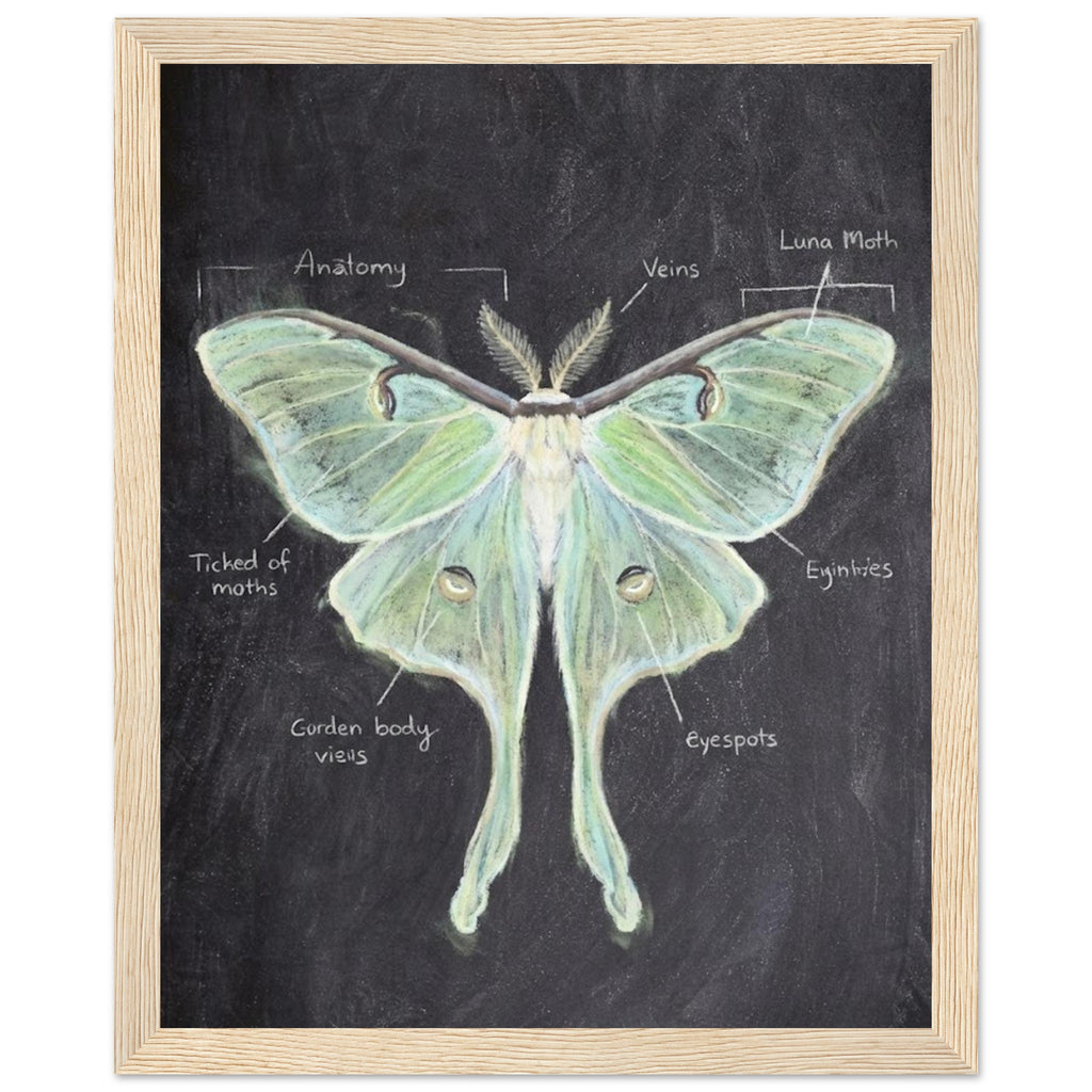 65598490-0bea-42b0-9d60-90f64a8af730