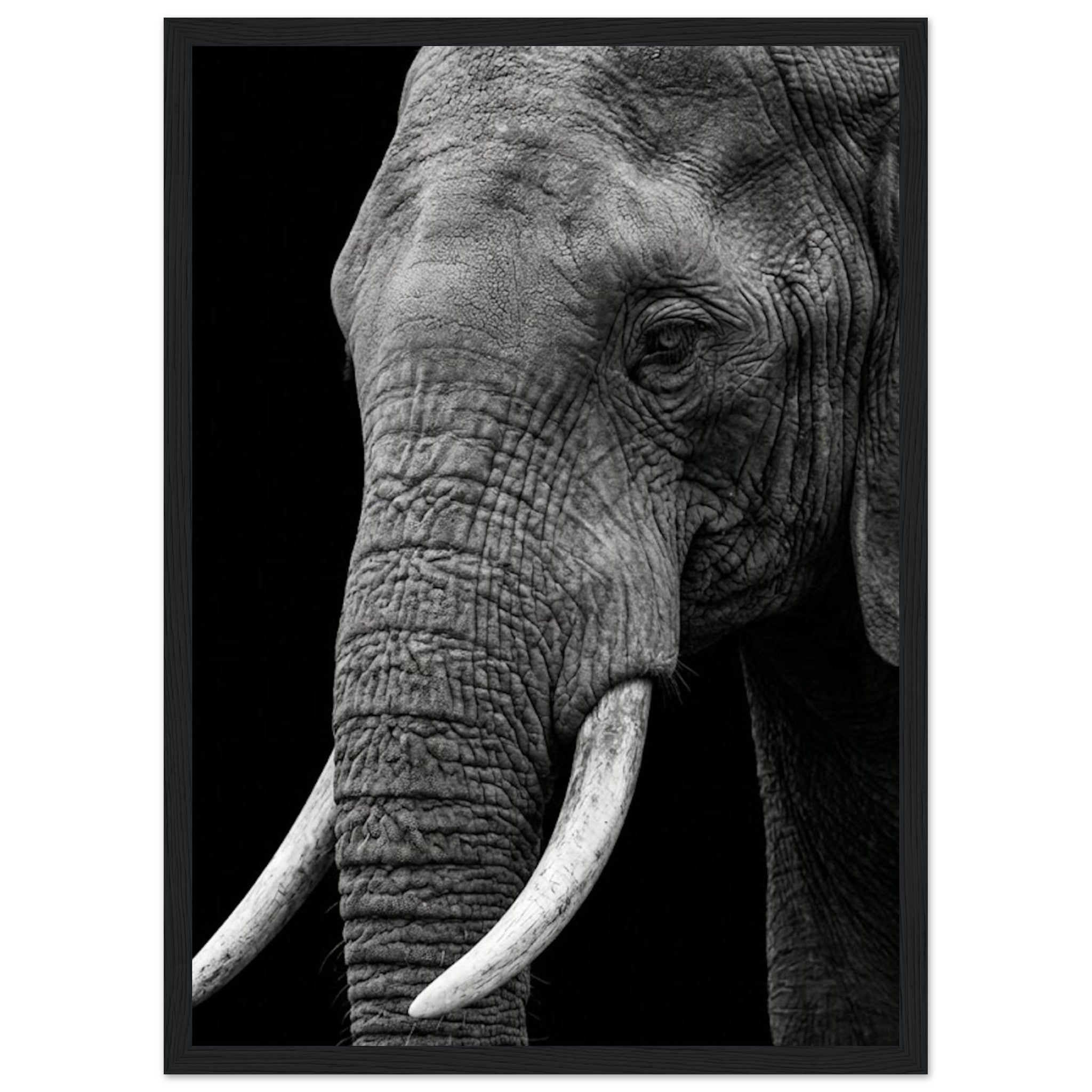 6856dee6-16ab-45a0-9650-b710812bf79c