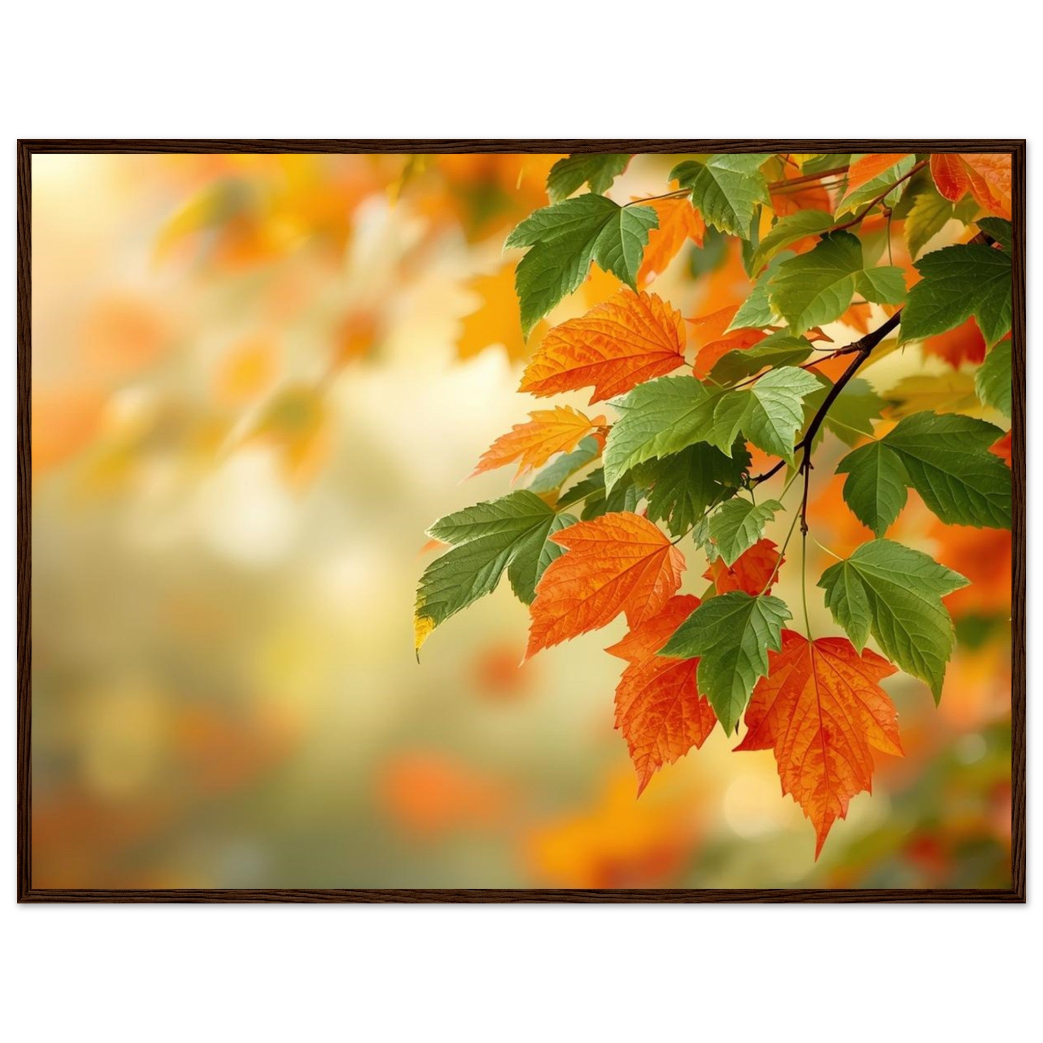 6bfe6632-44f5-49dd-b460-4c602e3eb438