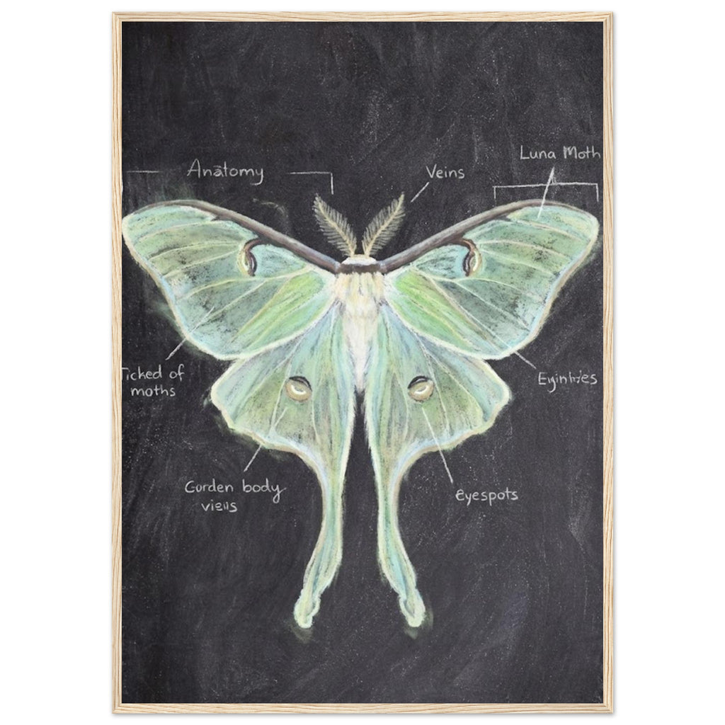 6cdad005-168b-4e9f-a4be-afd01aa5e001