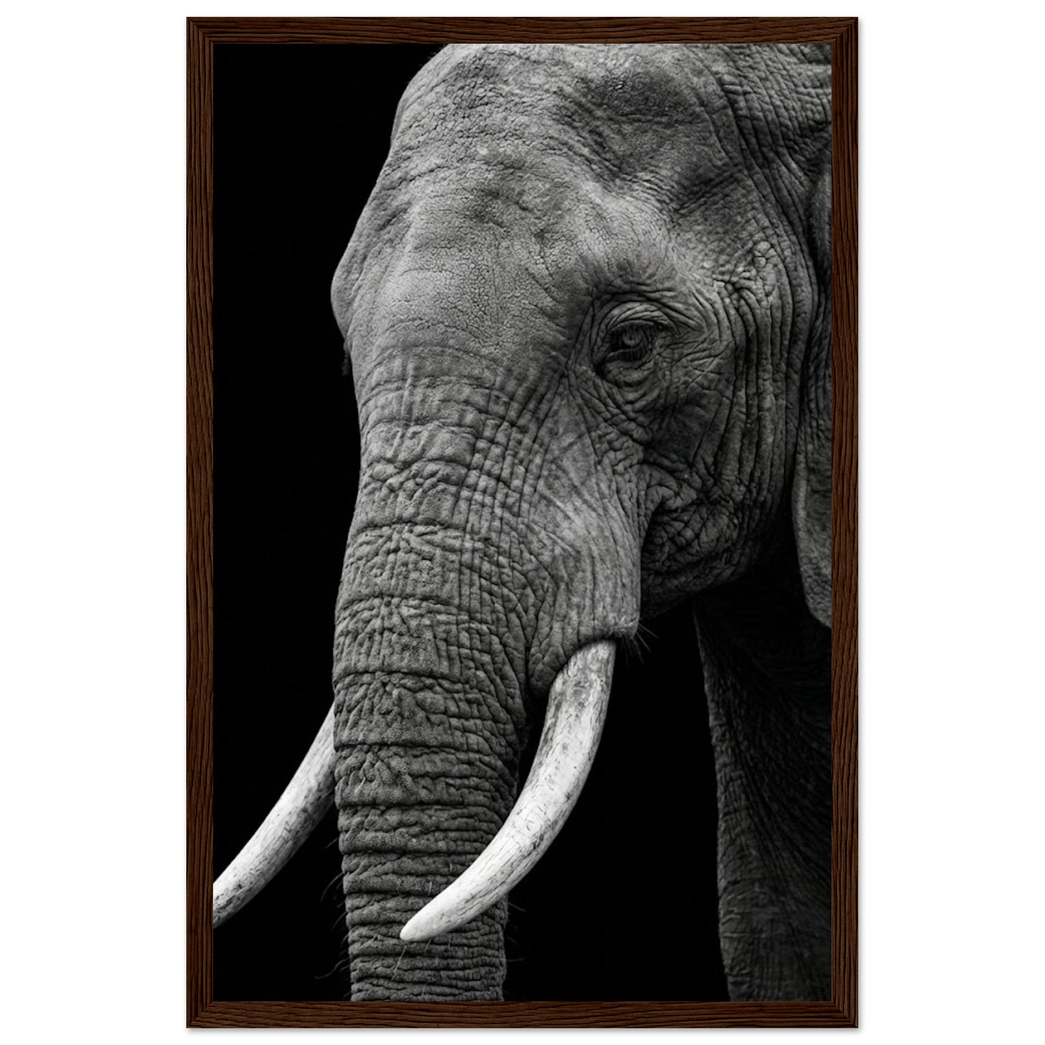 6d994f9a-7216-44d7-9768-f71841f15dcb