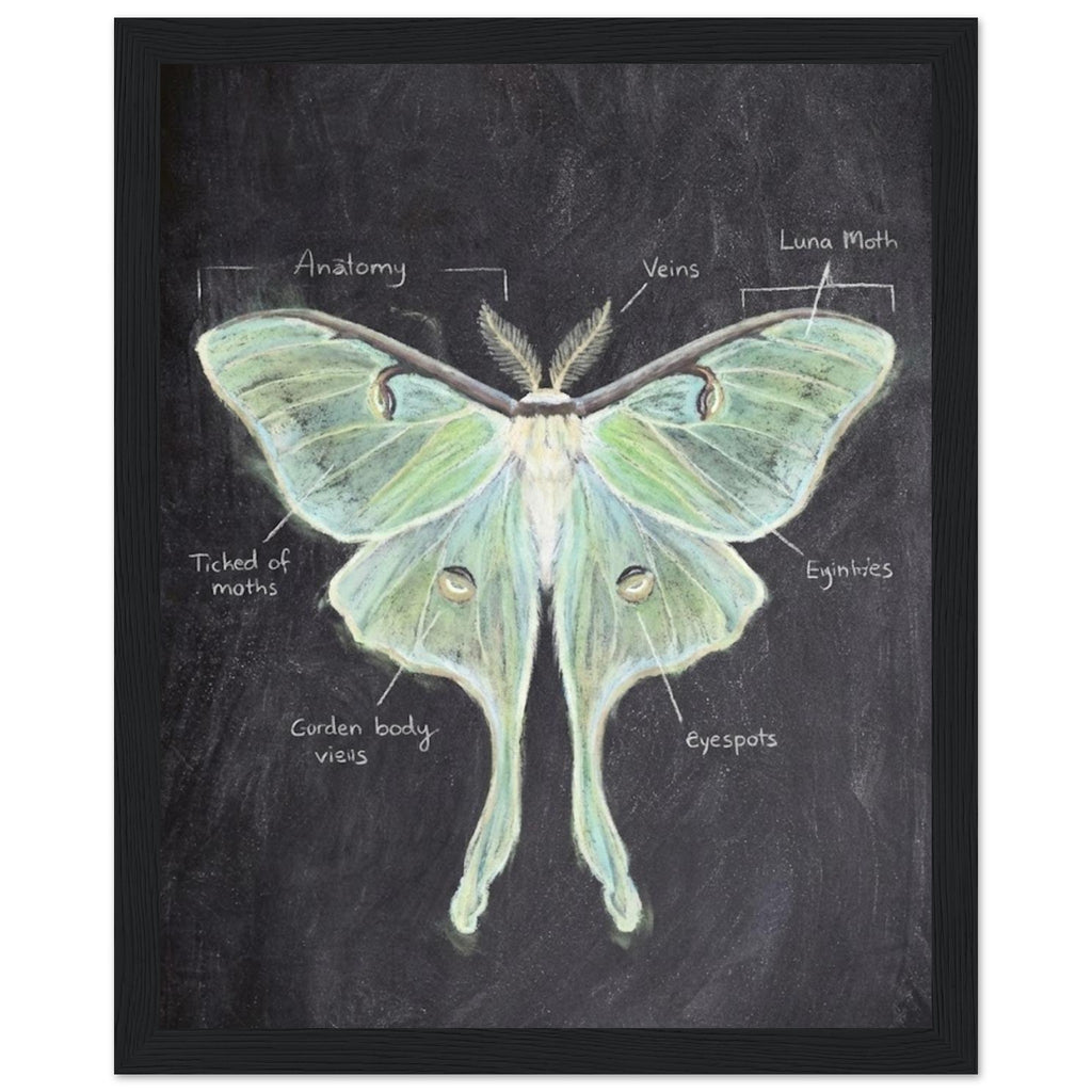 6db8a6e7-3992-4095-ab0d-727a868e4a02