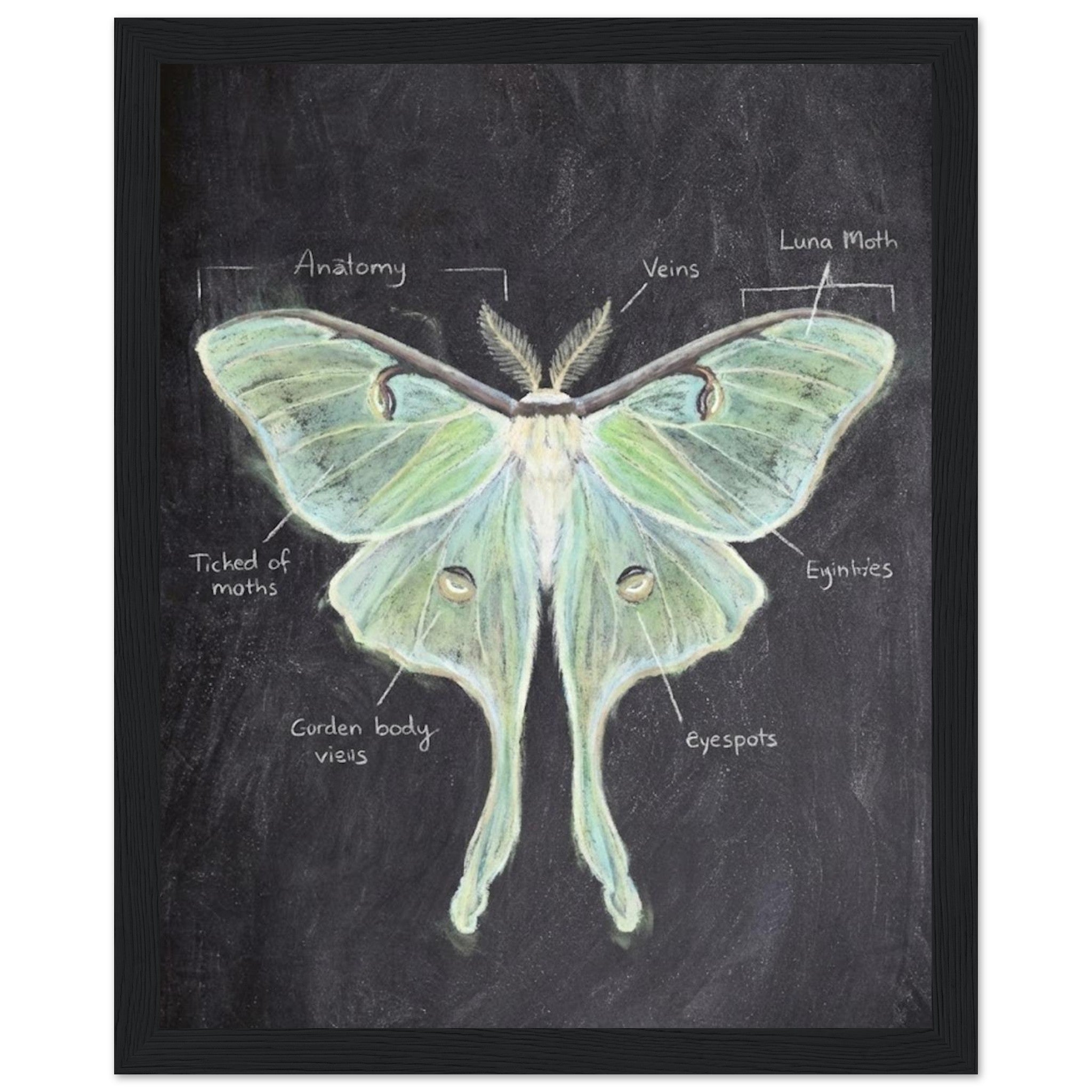 6db8a6e7-3992-4095-ab0d-727a868e4a02