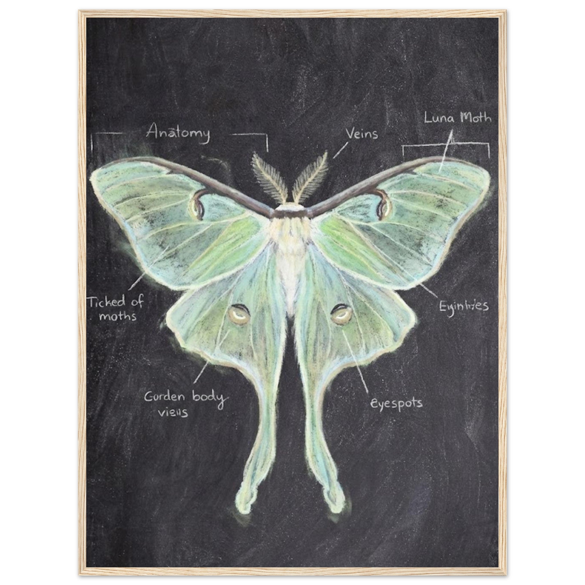 6dbdd9c5-b931-4875-a8c8-9bdb278b0eb3