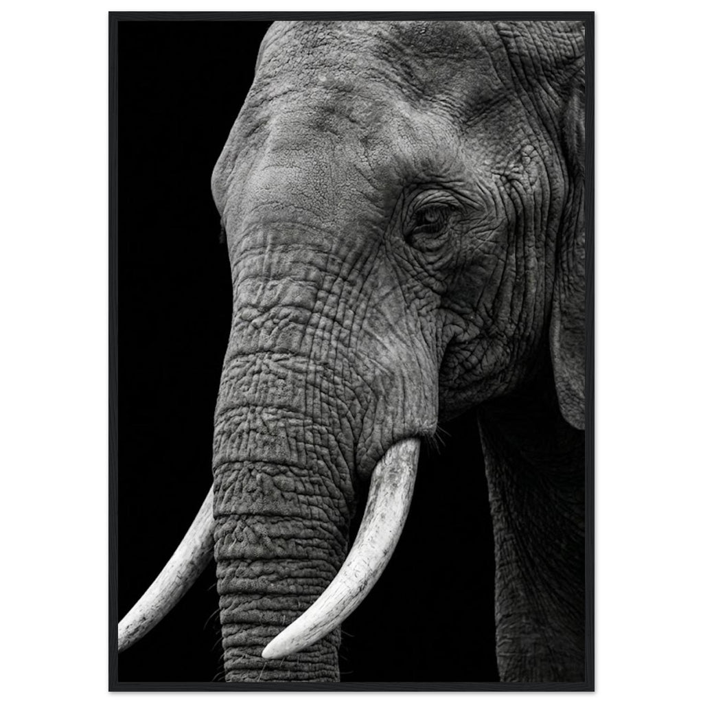 6dd80548-9cc0-43e9-b460-83f5bd8ee81f