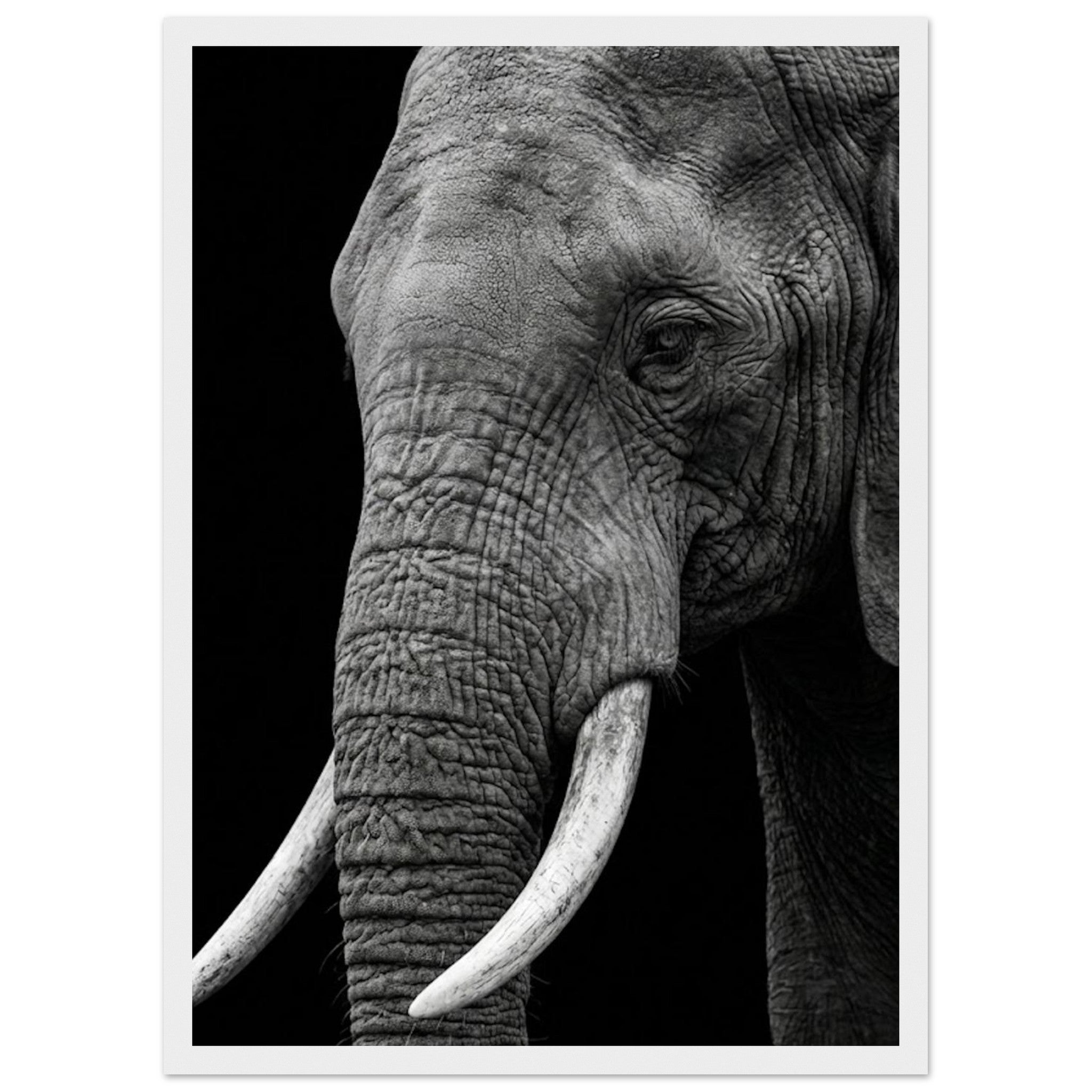 6e4f372c-eb6a-4e69-bb87-538ed5aca667