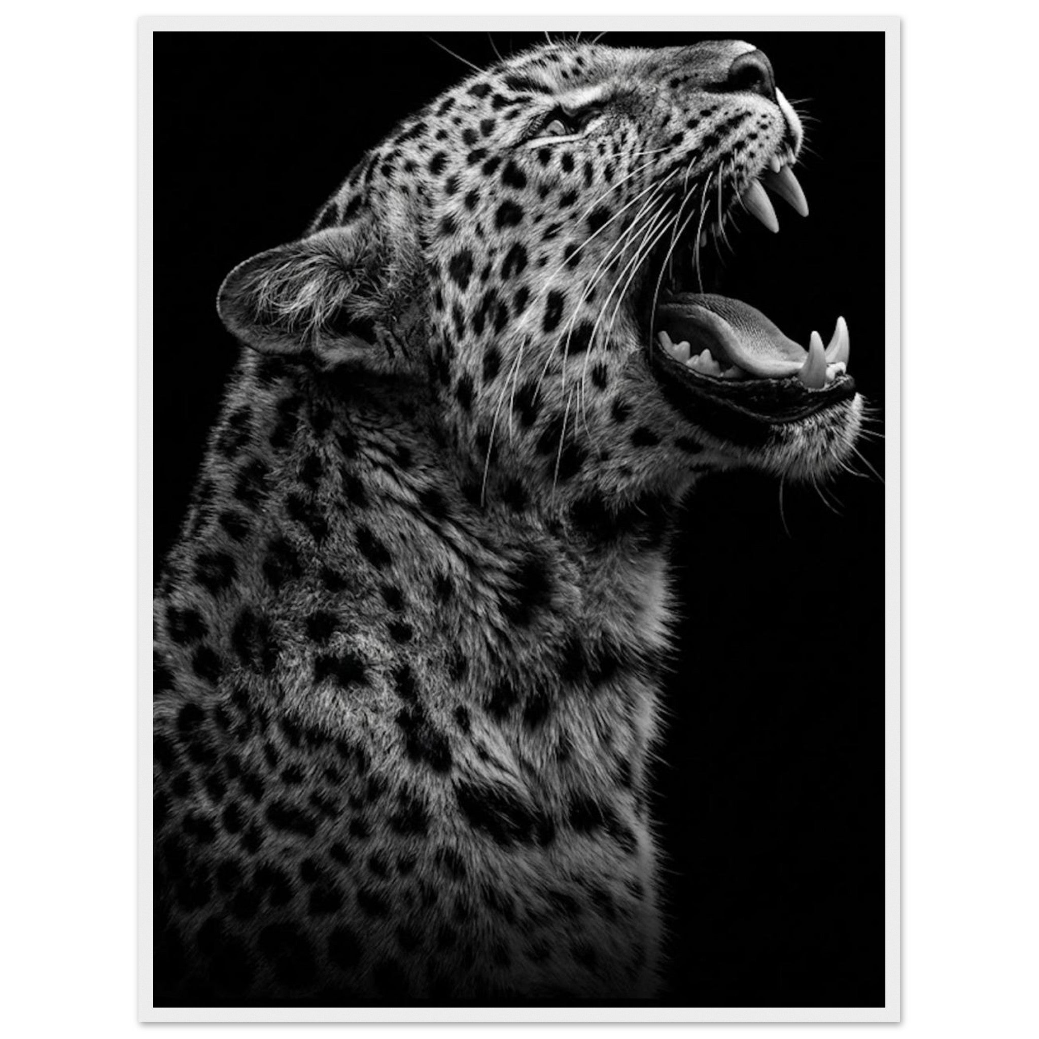 6e901330-d077-4dcf-af7f-30e58f87ed54