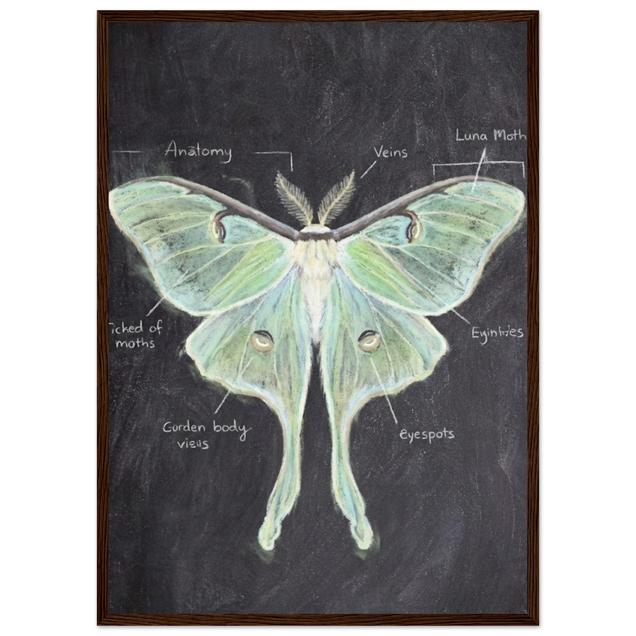 6eb40fc3-9209-4d83-bf8b-28e6fed5b376