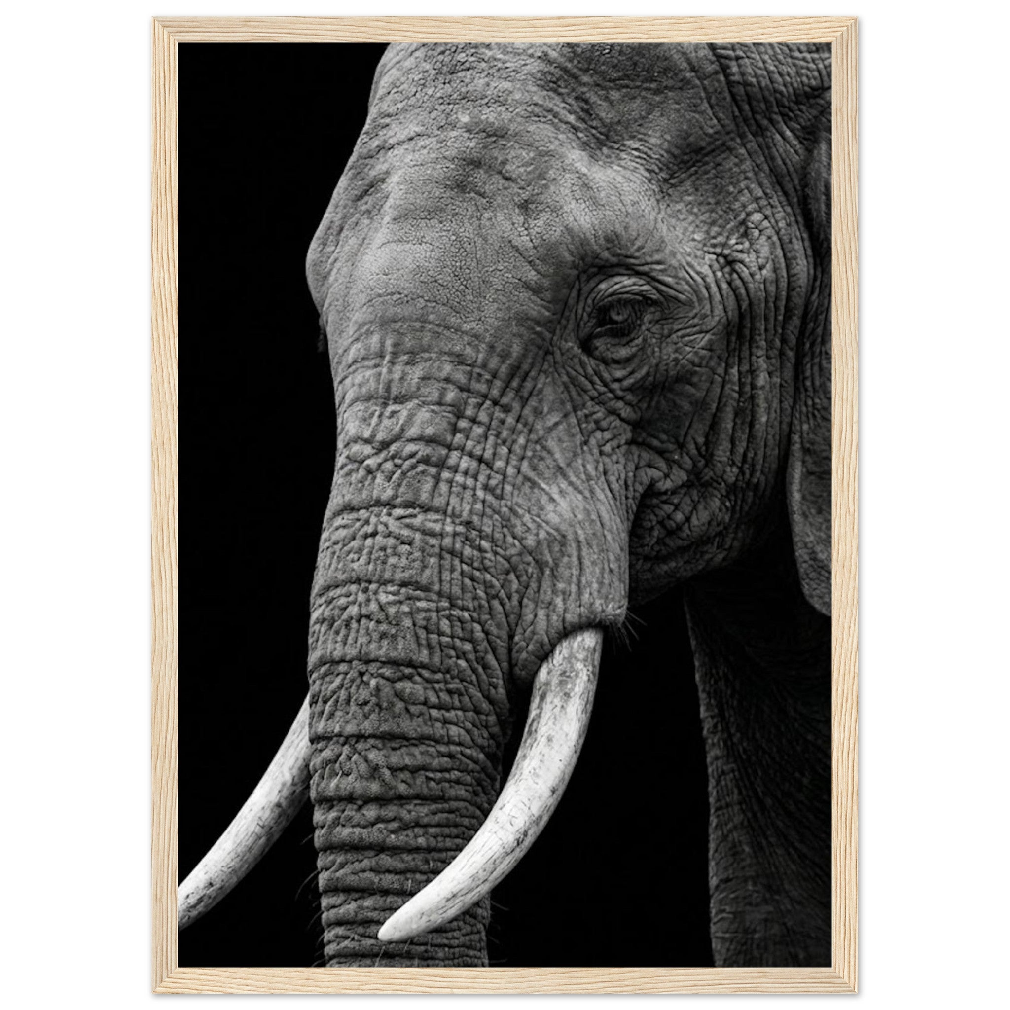 6efeb941-a665-4b92-bf35-44a79f68282b