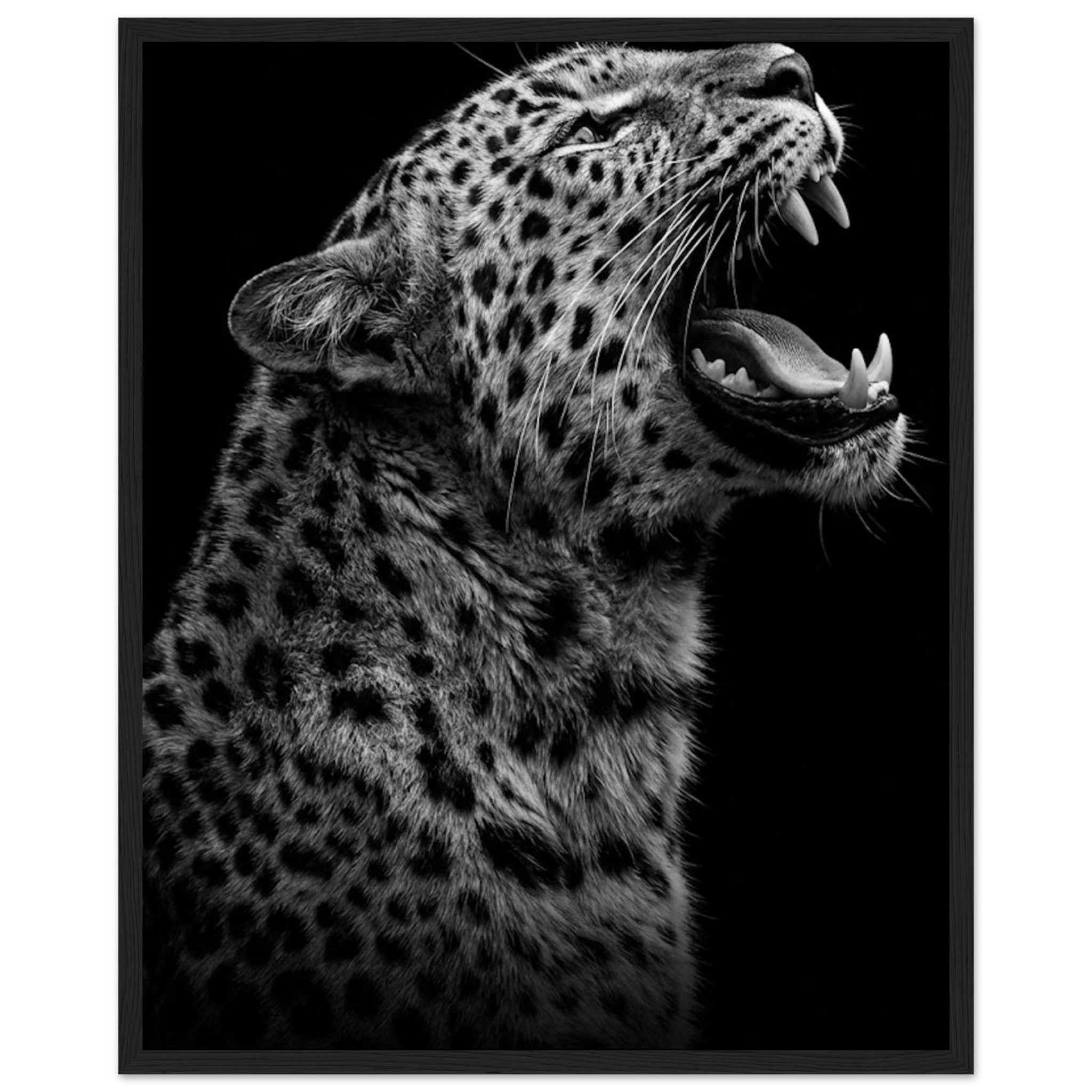 6fdbcabb-d5d8-4b1c-9b99-b4dab7f4af4c