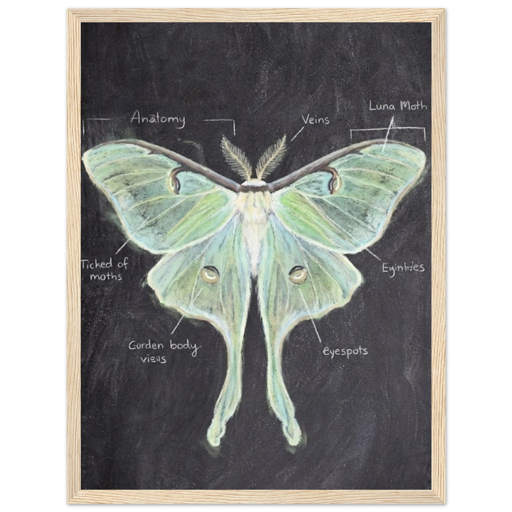 704662be-0ac5-4f0e-b0b6-faf2ae101893