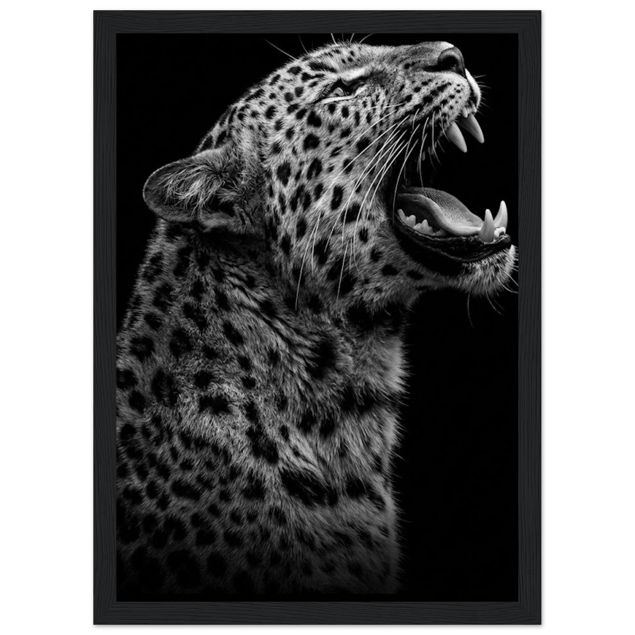 73db369c-d85a-4ca0-bb62-bdbf35211949