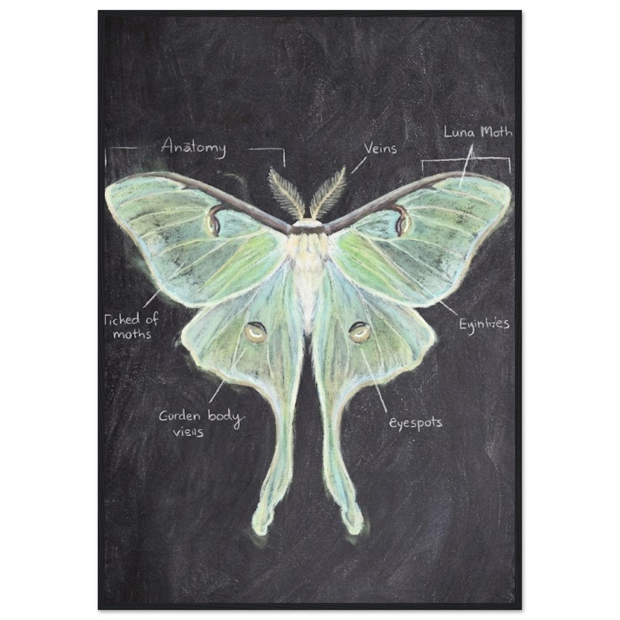 74a9b2d2-8f0f-44a5-b781-ac2735e8e85e