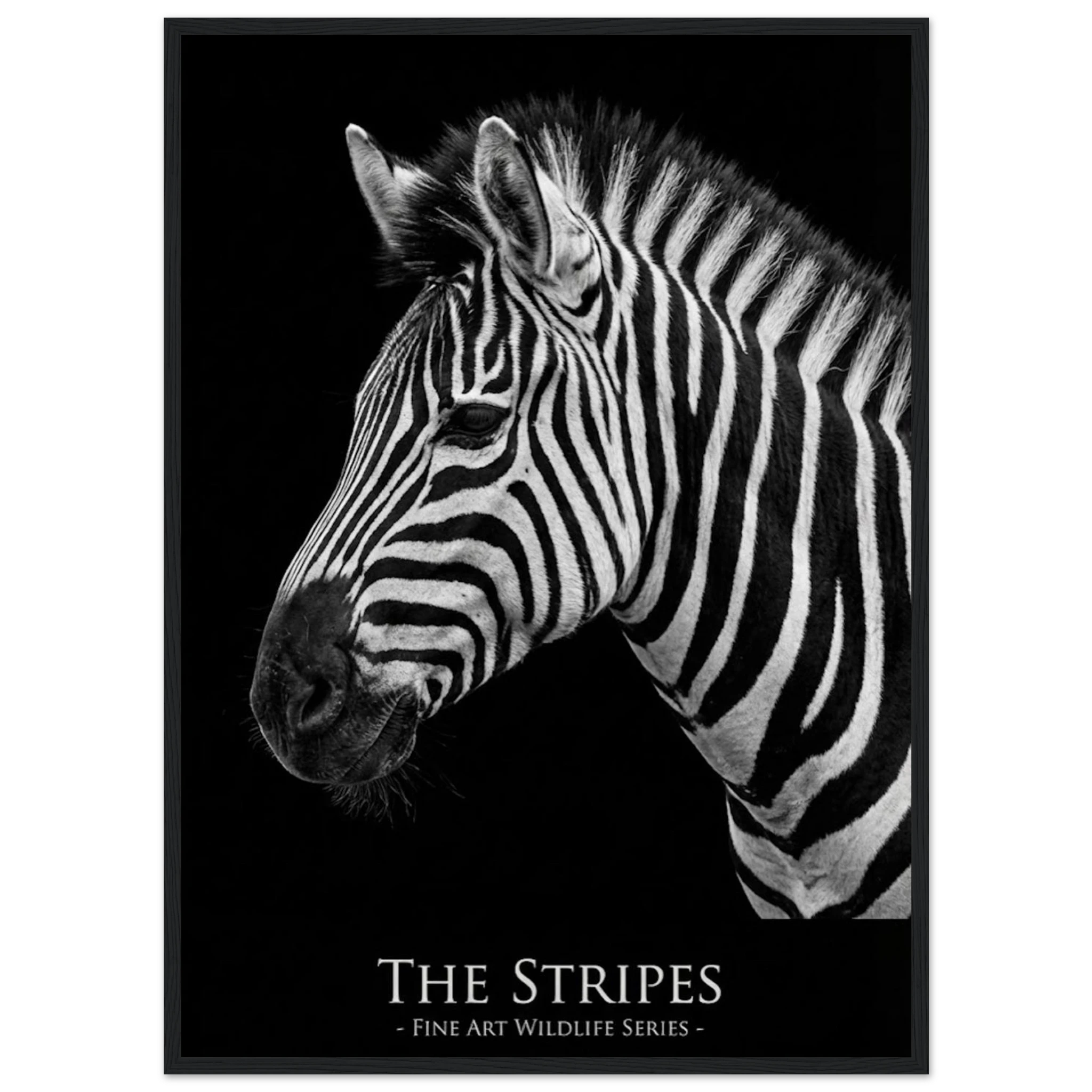 767190fc-a3b5-4ffe-8c9f-0cac4f4f15f4