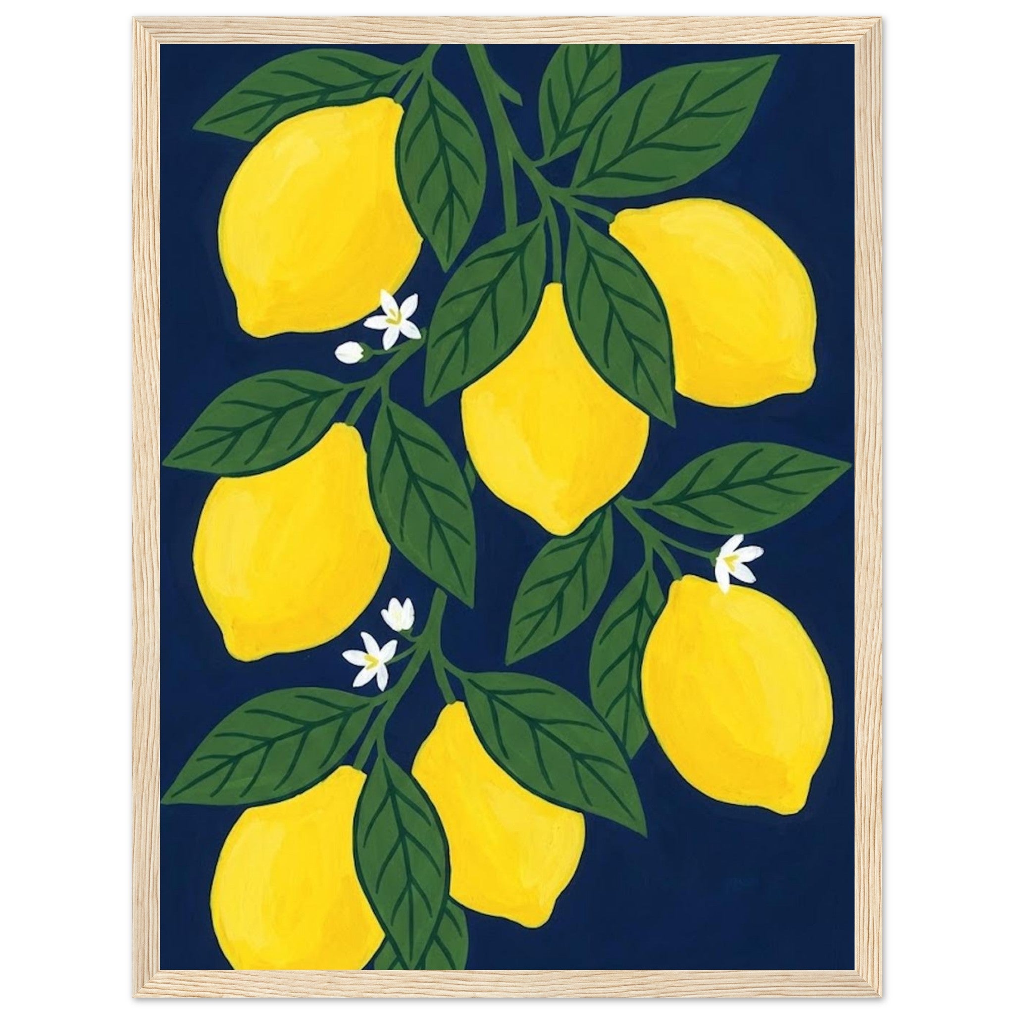 76fbbbcd-6fcf-4638-ae12-94b470081a37