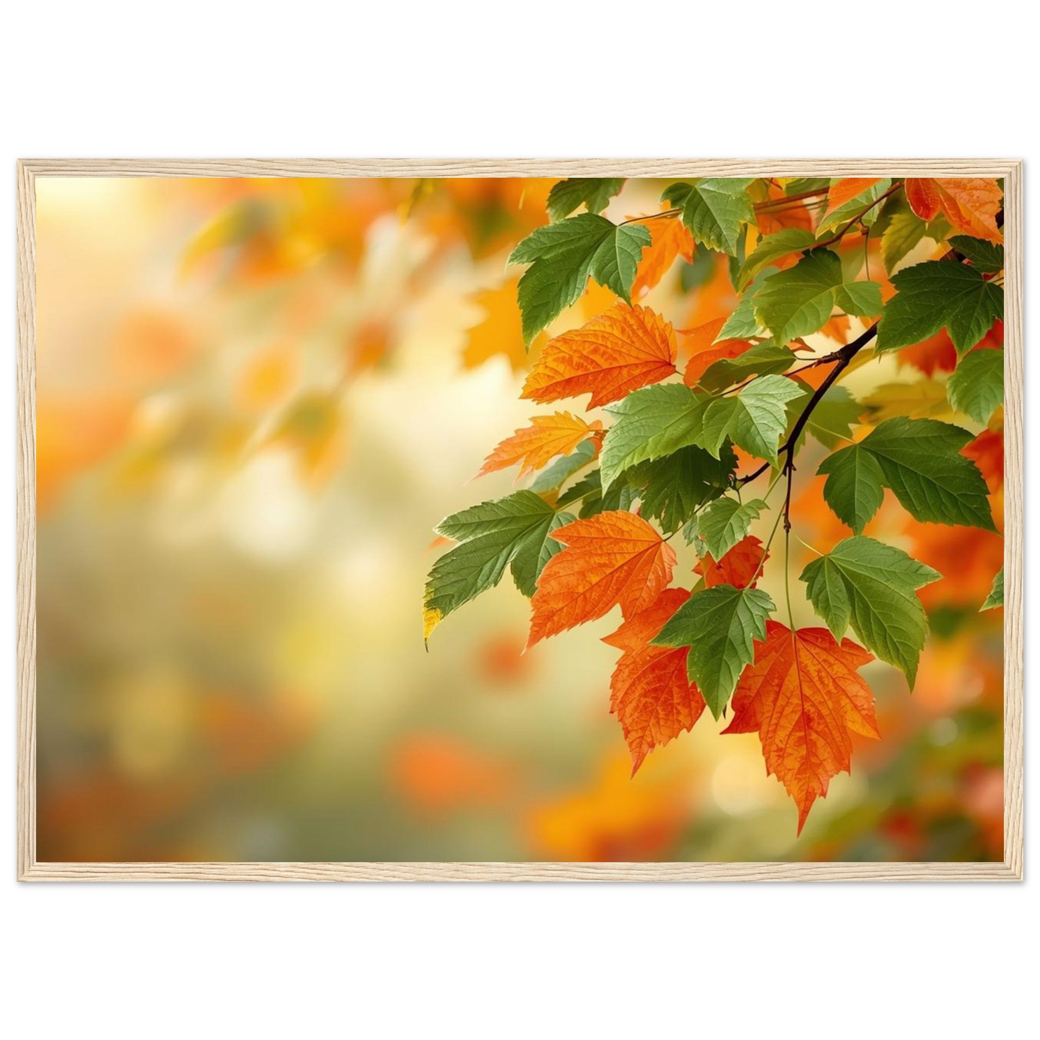 7d0f089e-50e1-4710-850a-c6ff5eb1cb4c