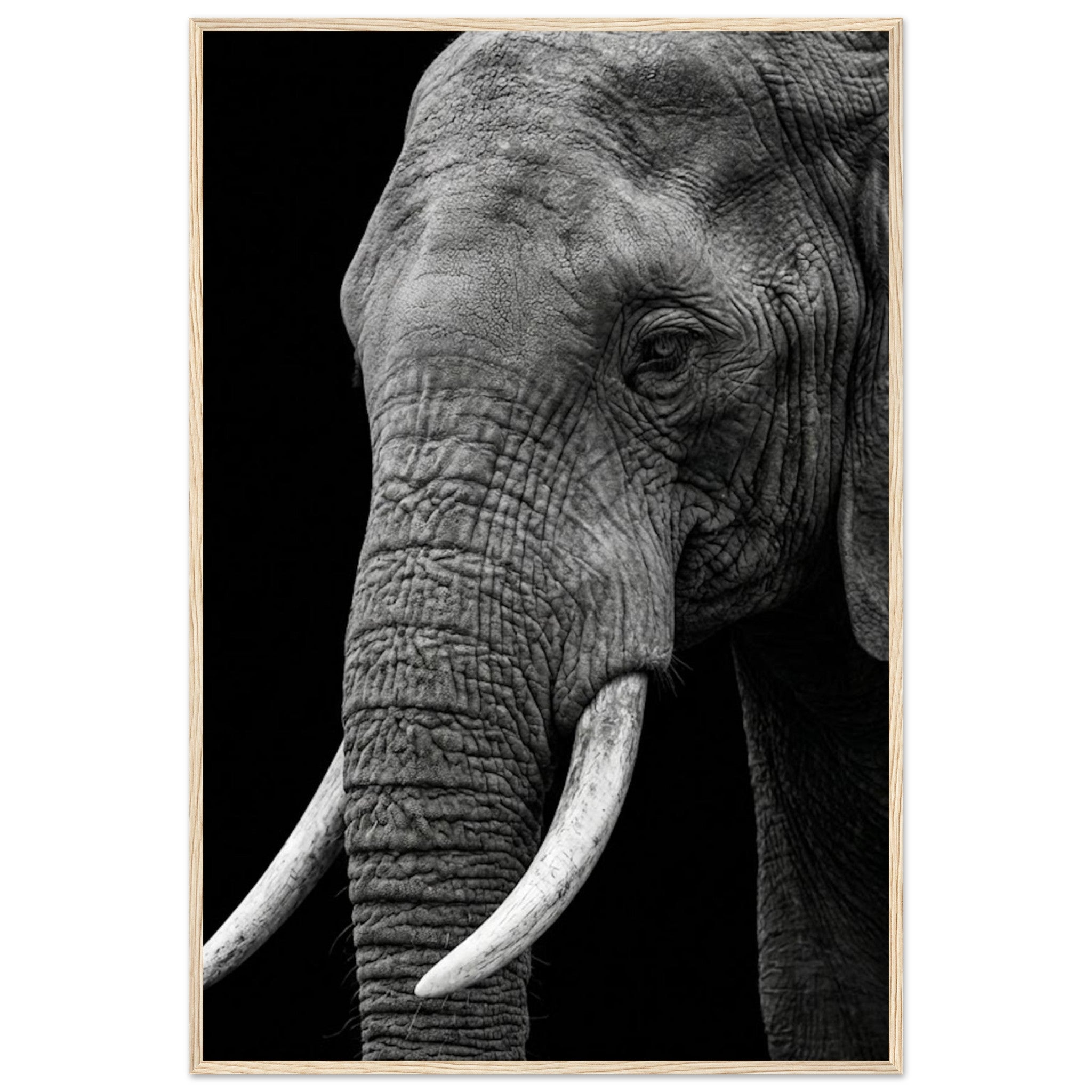 7da9baa2-2aa3-4647-9be7-85c53bb8014b