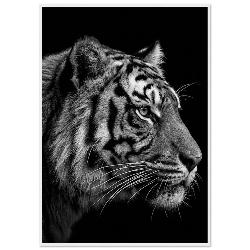 7dce5359-94a6-4495-8c82-111cfb31be01