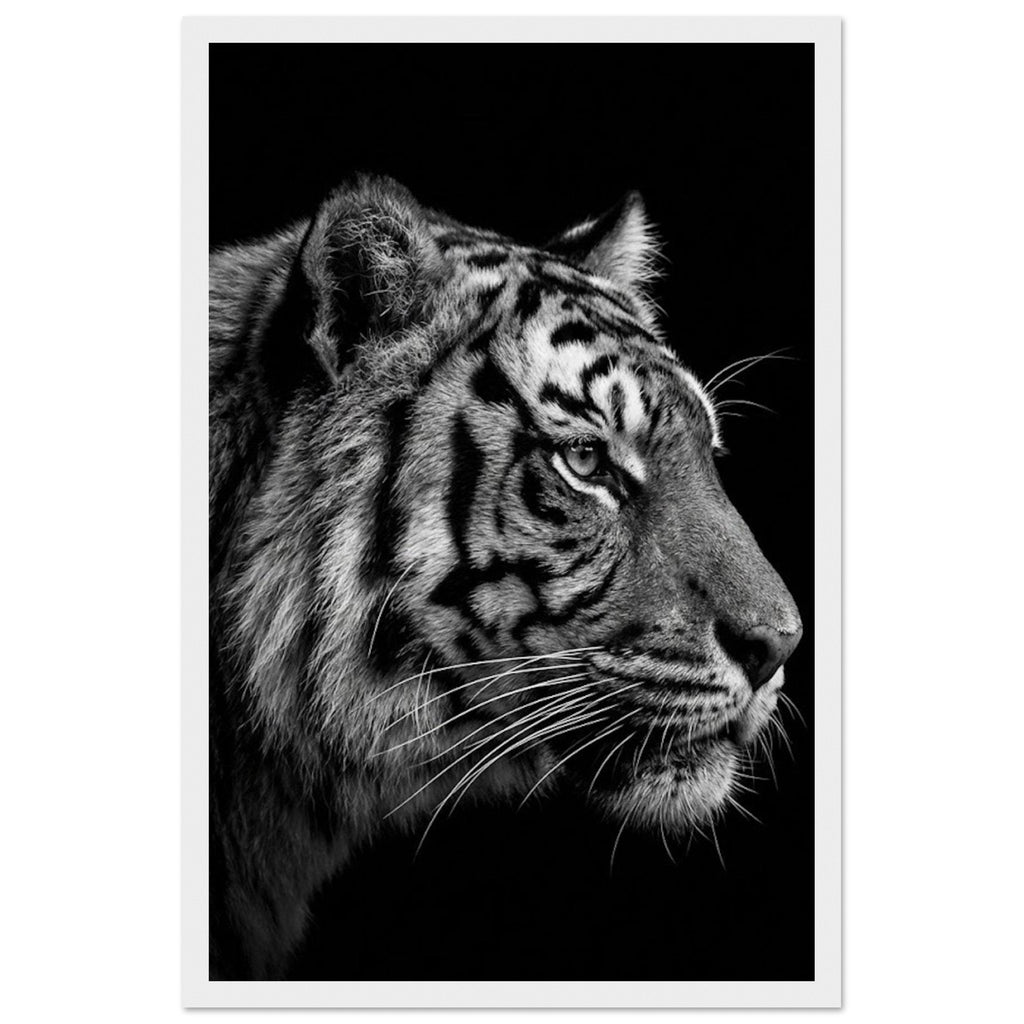 7ff70cb2-2273-481c-adf1-fbd06c9b9542