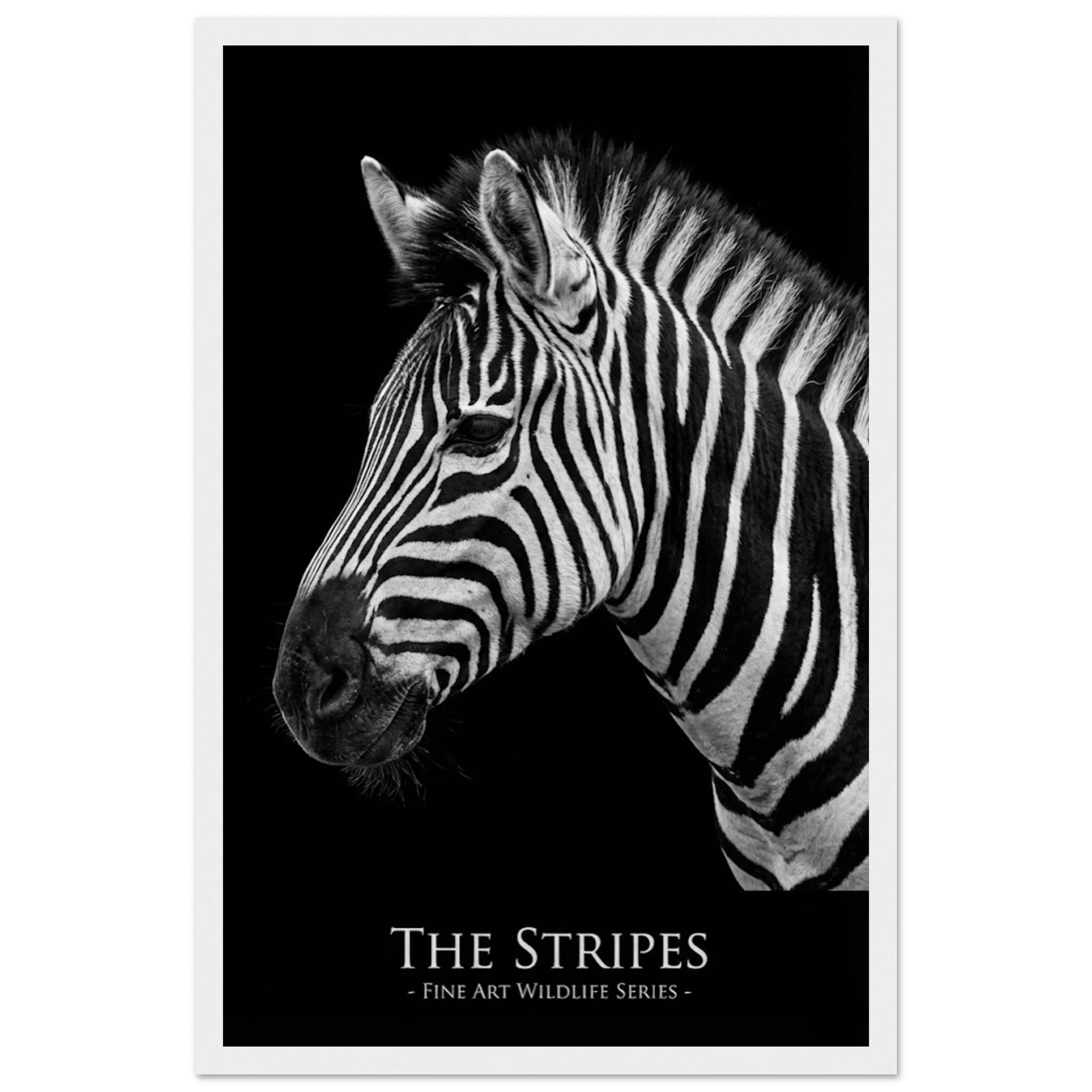 84d32fd6-d89d-4b56-adea-27ca145ece57