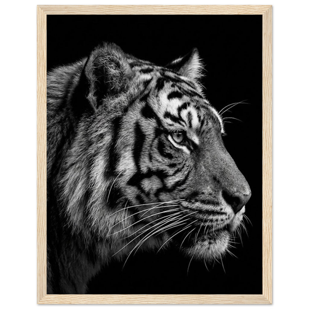 8628b2e5-260a-43d1-a72b-1f37a898e380