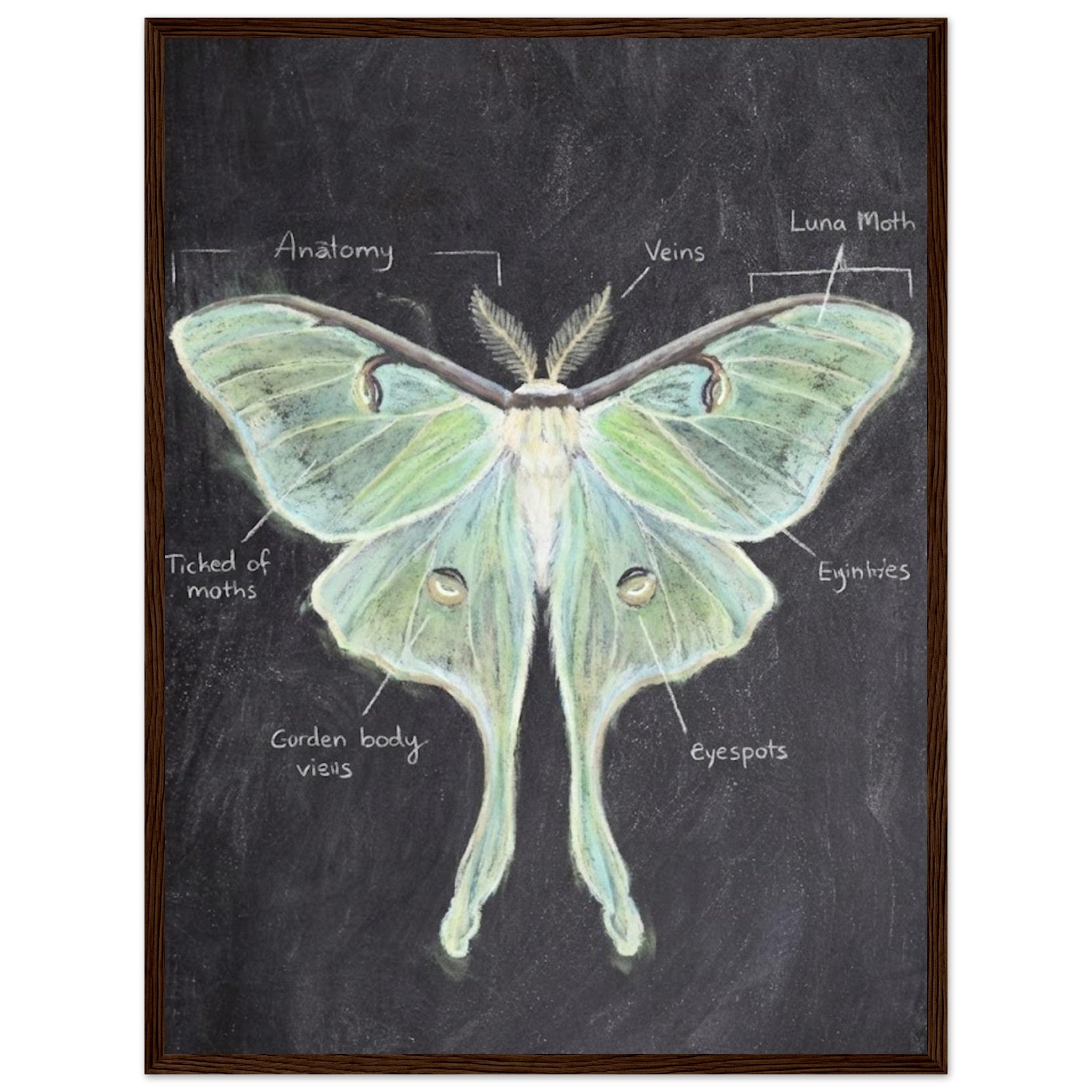 875e8081-329e-4fad-8053-0068cd8aacff