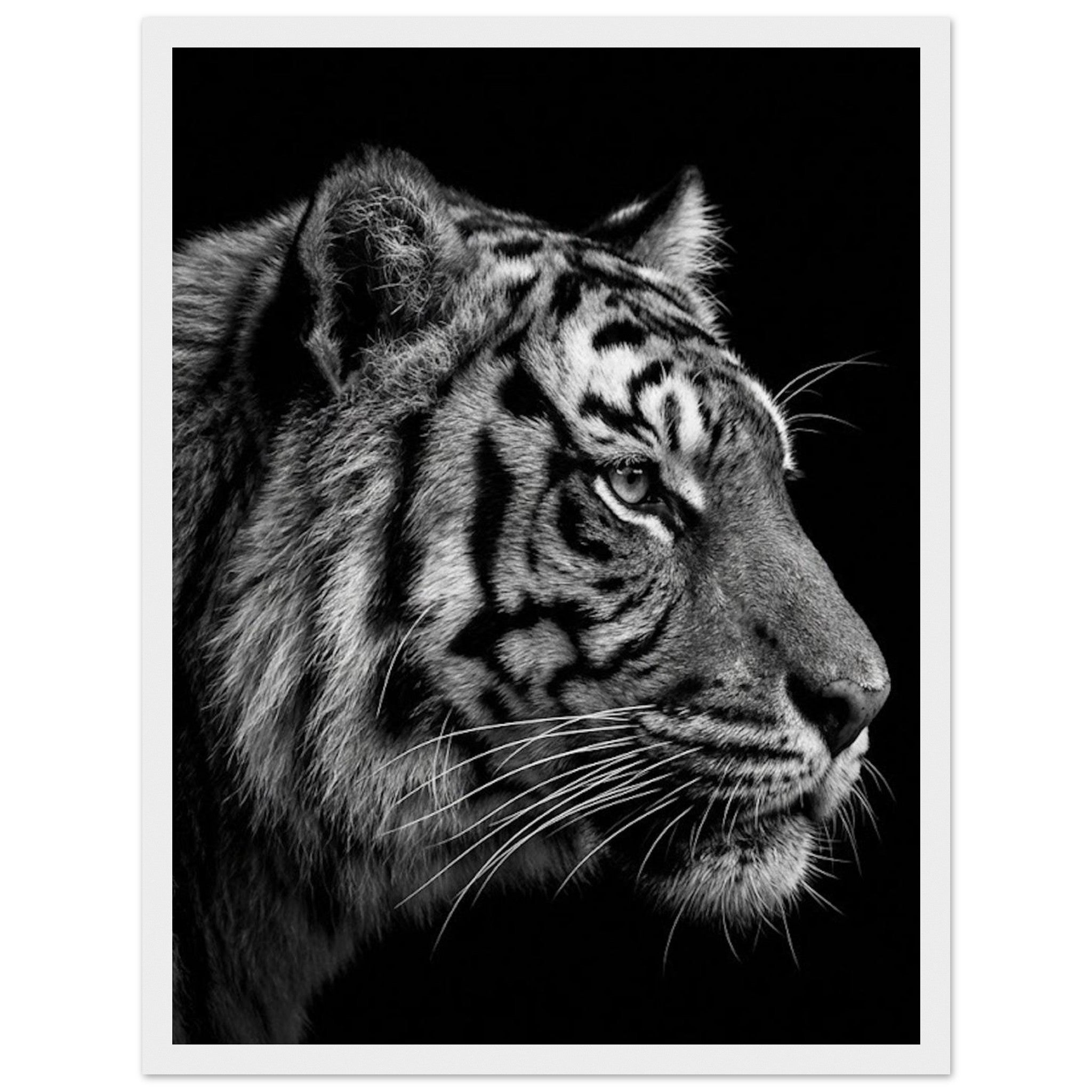 8787d98b-05b9-4618-bbdf-88965e2b96a3