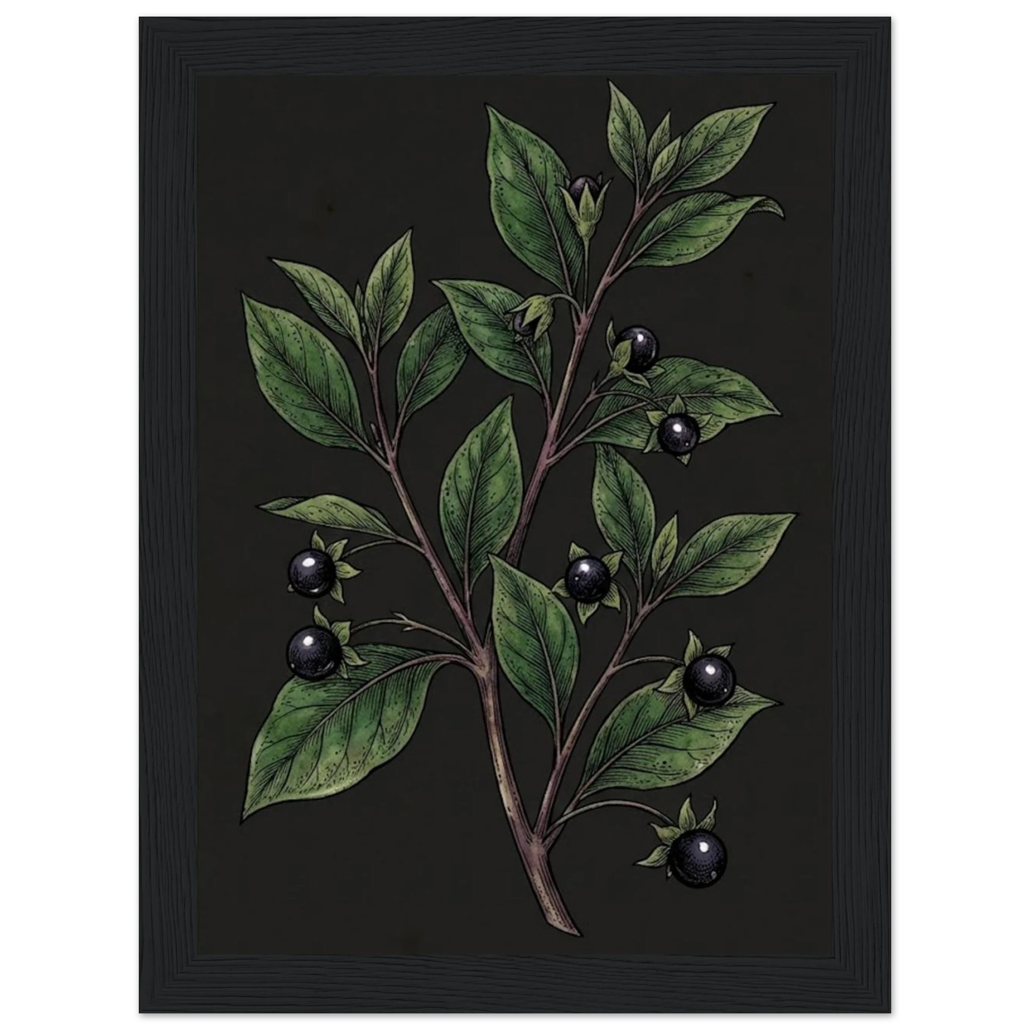 884f03a0-ec18-4e5e-9ae8-93b8f2f8a532