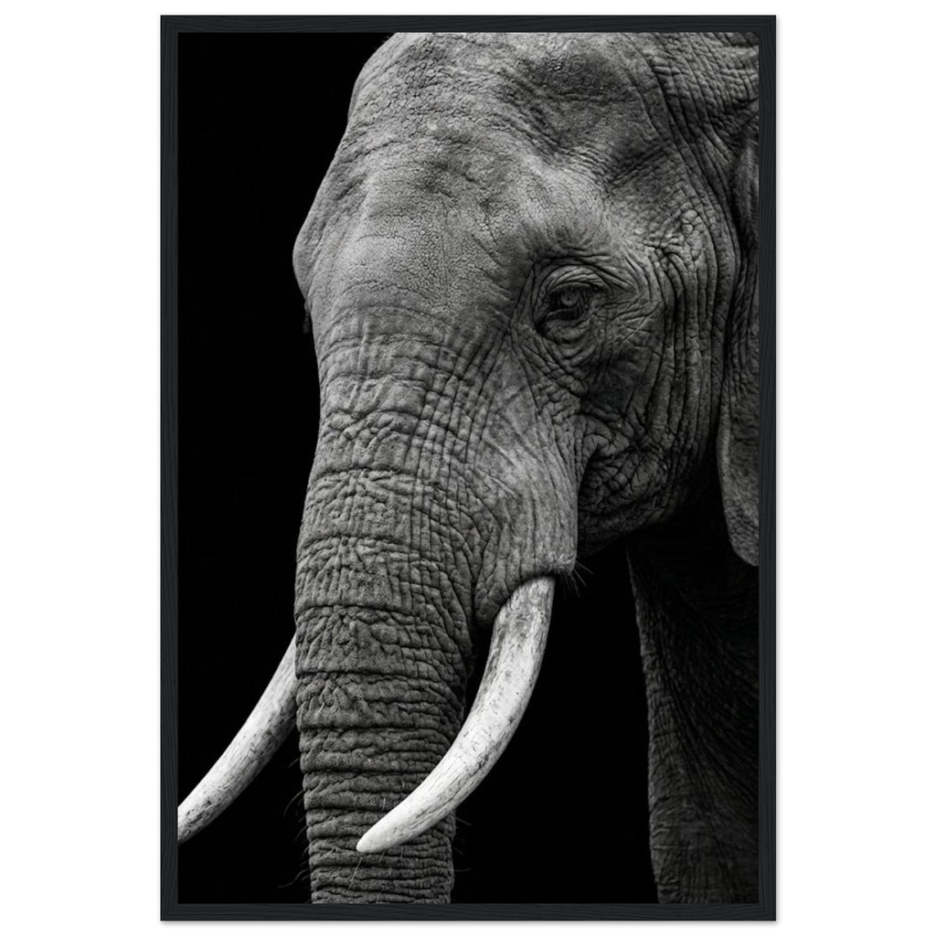 88904015-dee9-4fd3-ba28-38de50e6a177