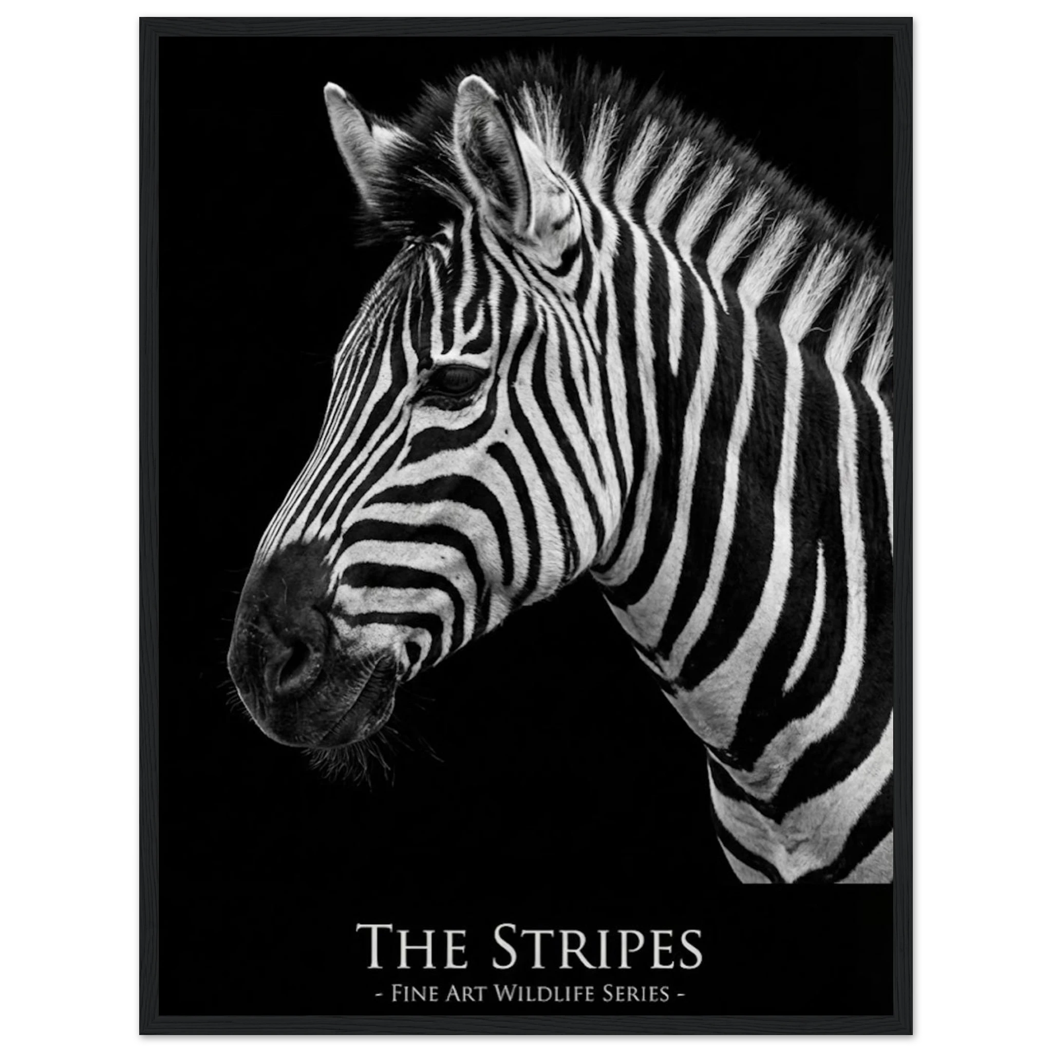 89ac2b55-1042-45b6-8c7f-96828cb93994