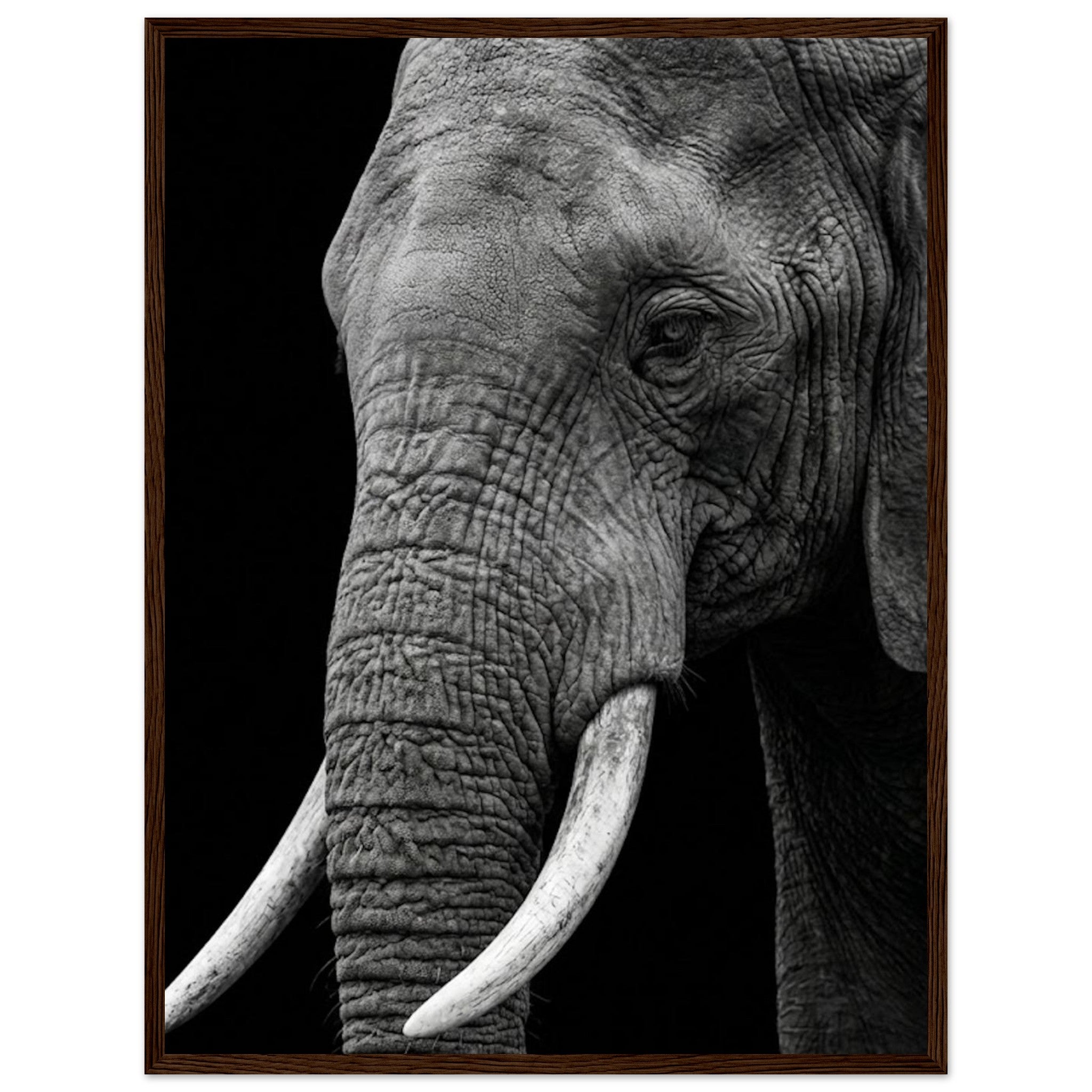 89c4db20-da1d-49b7-975f-46251bfd2dec