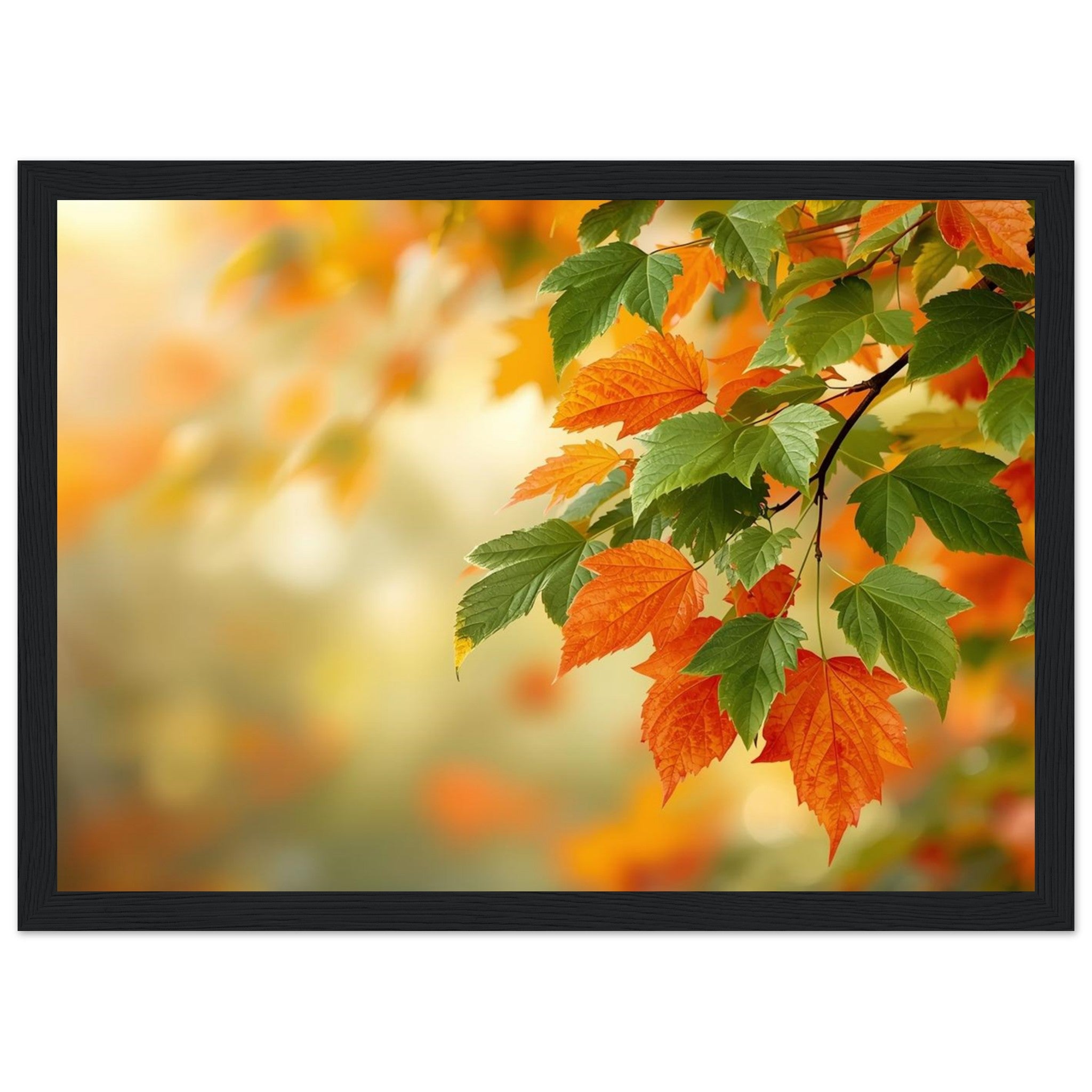 89c7c8bb-0969-475c-bd4d-13510dc224fa