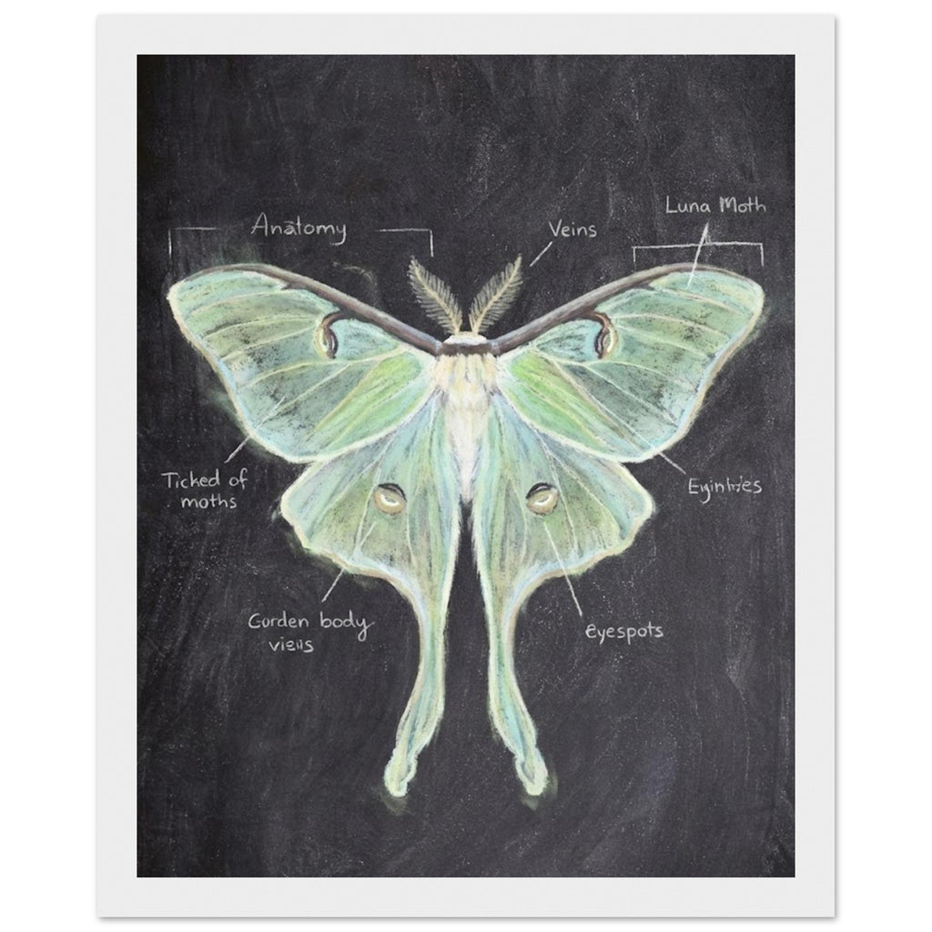 8c1a4eb5-84d1-489e-affa-fc8b36746254