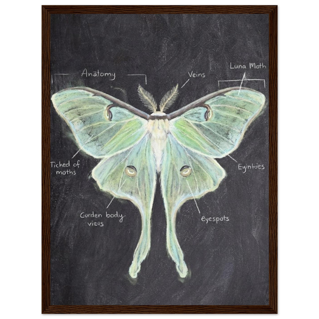 8ed96d28-21bd-43d8-8648-56abc9dab9bc