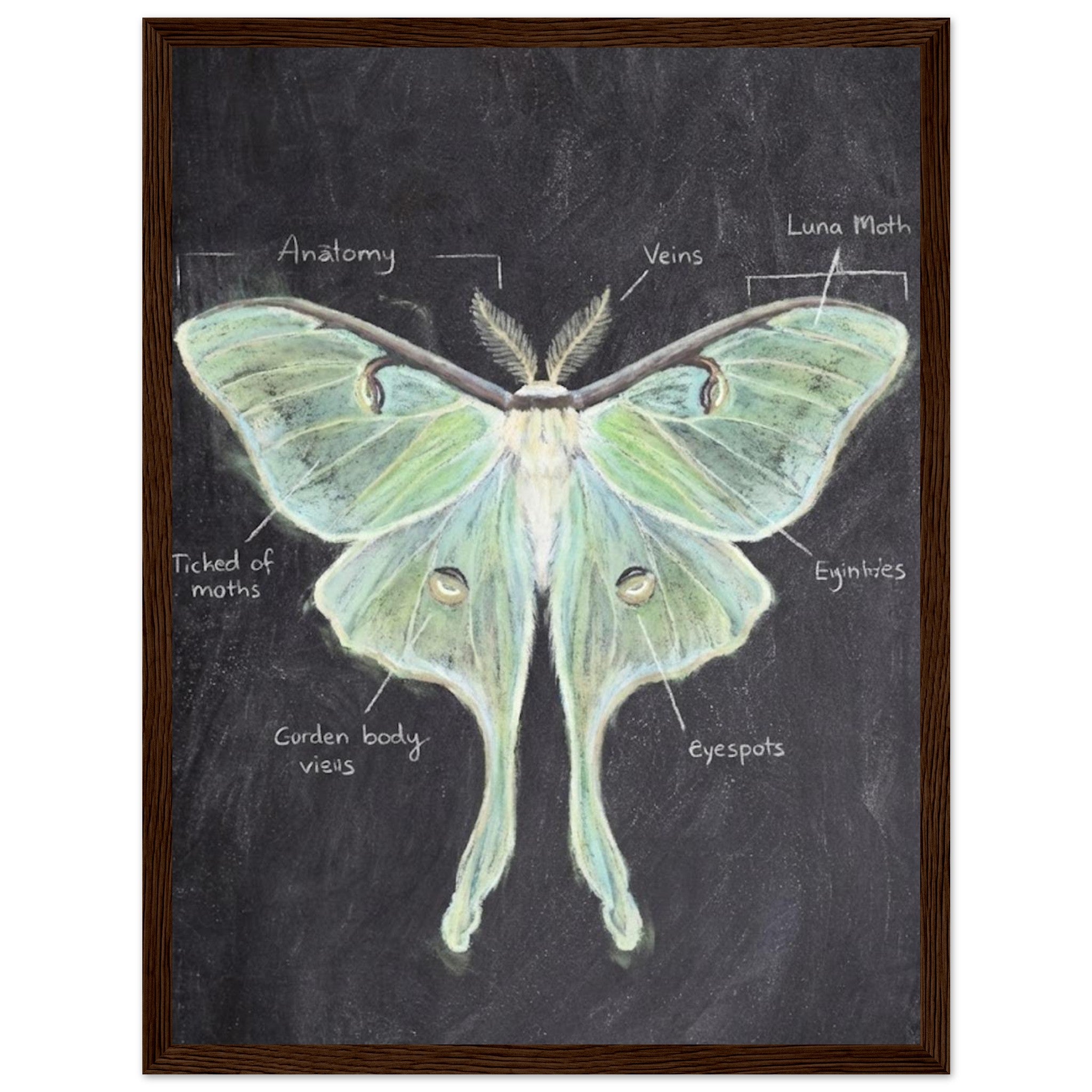 8ed96d28-21bd-43d8-8648-56abc9dab9bc