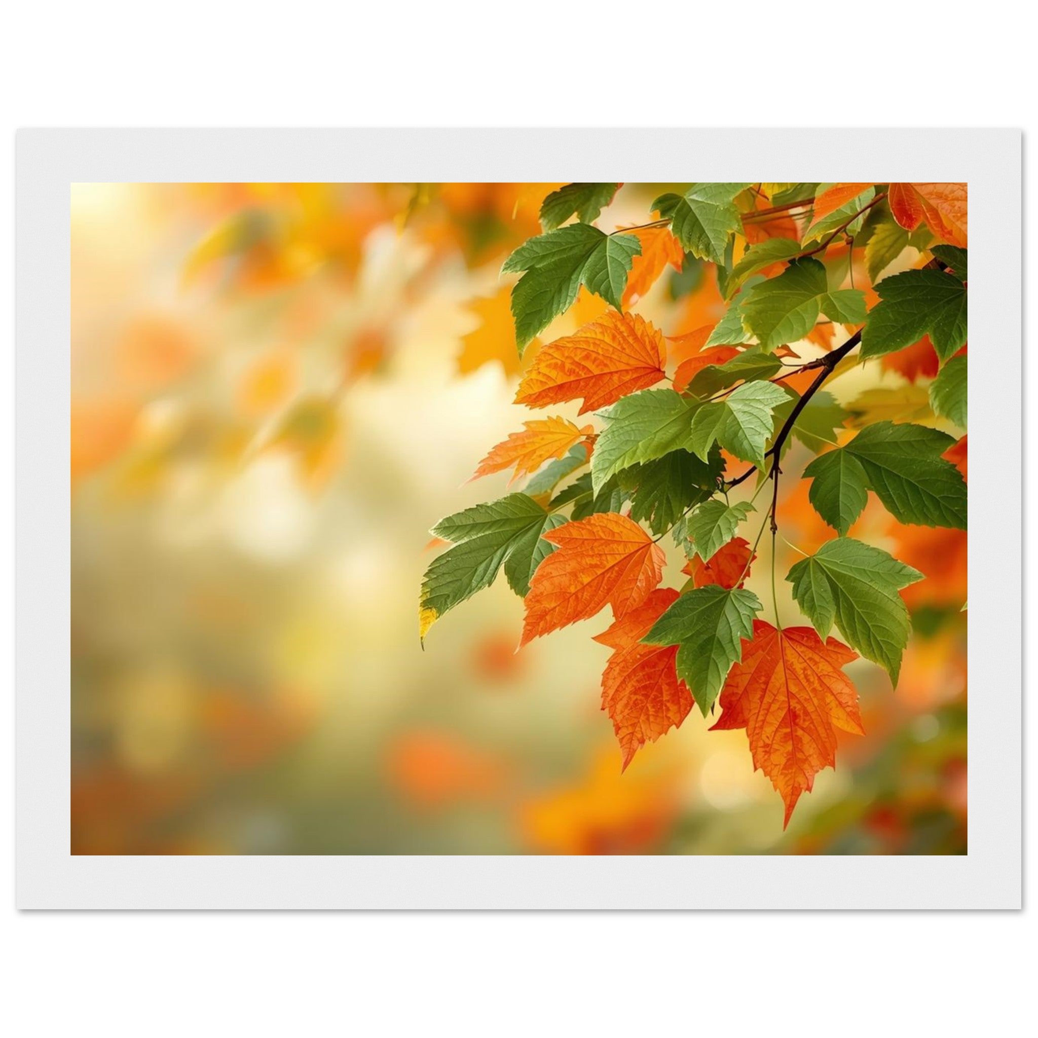 8faa56ec-4199-41d7-ac5c-5565e5eebb25