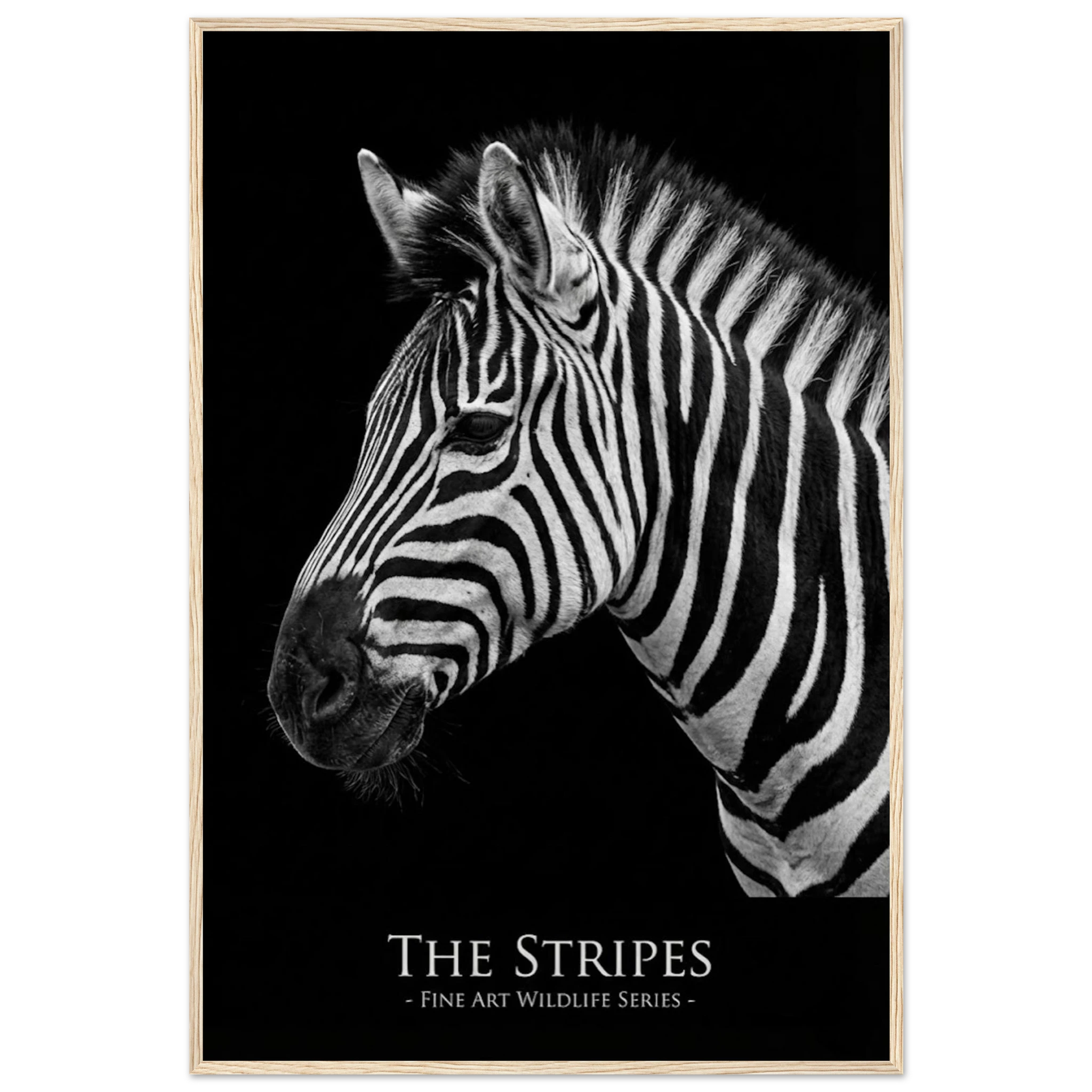 910bc625-645c-4497-acd4-338116b6bfdf