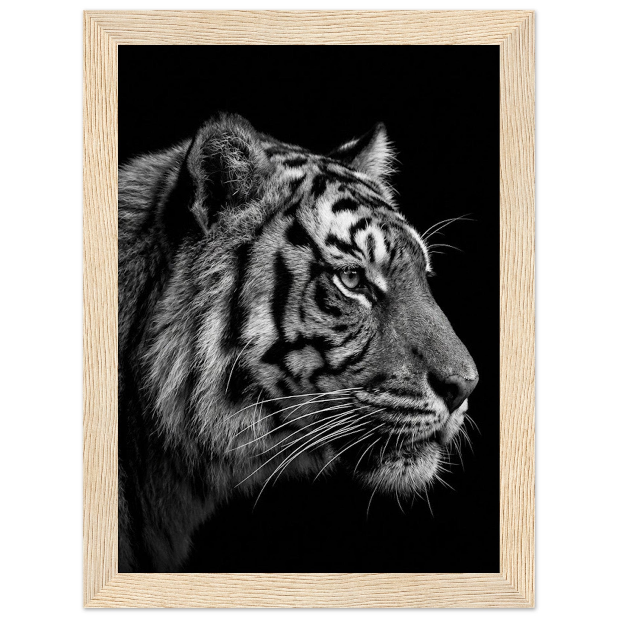 9160eeea-1e4b-46fb-ac35-5d6ca2c56413