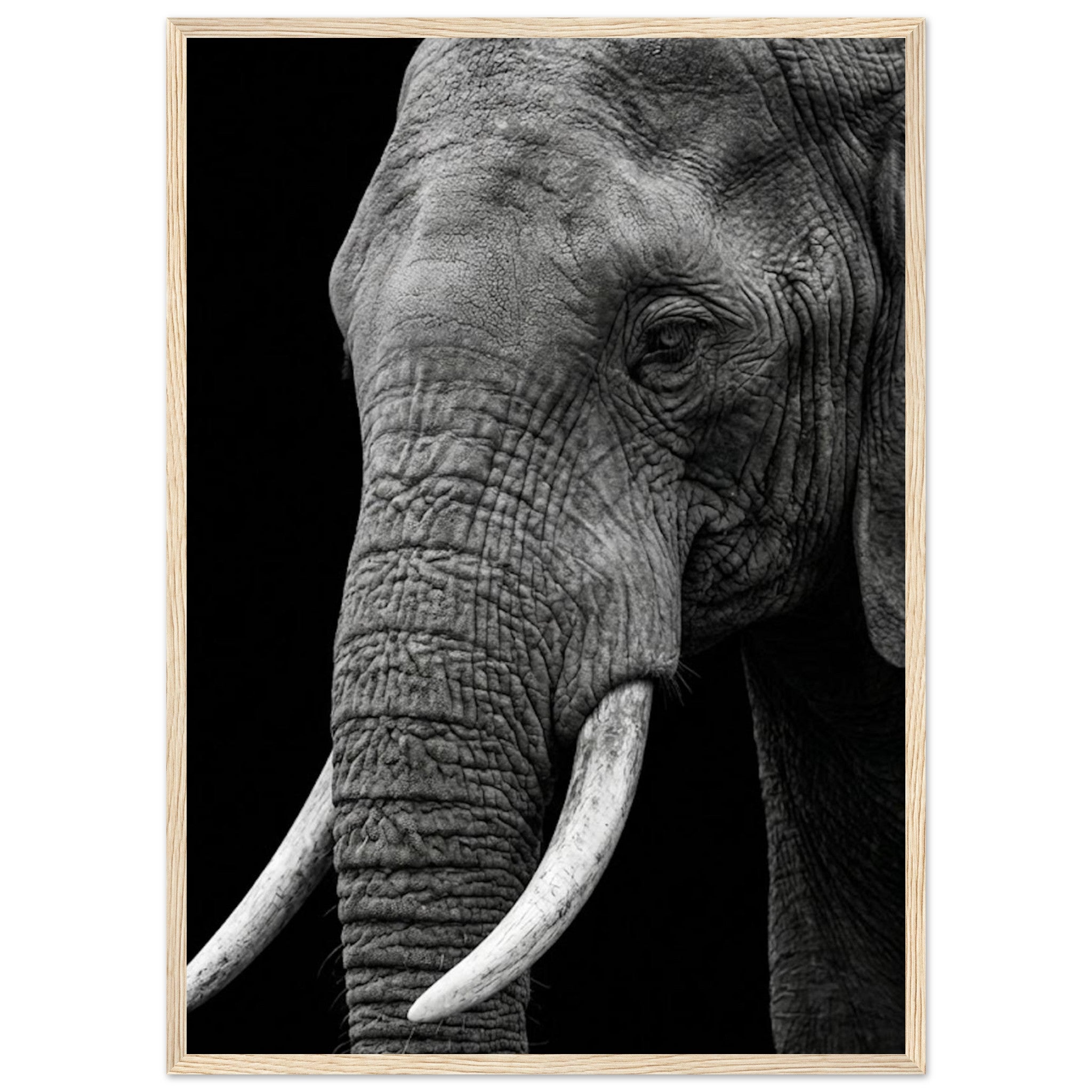 923cb35b-b783-4528-b3b5-2f3f6f1d0bfb