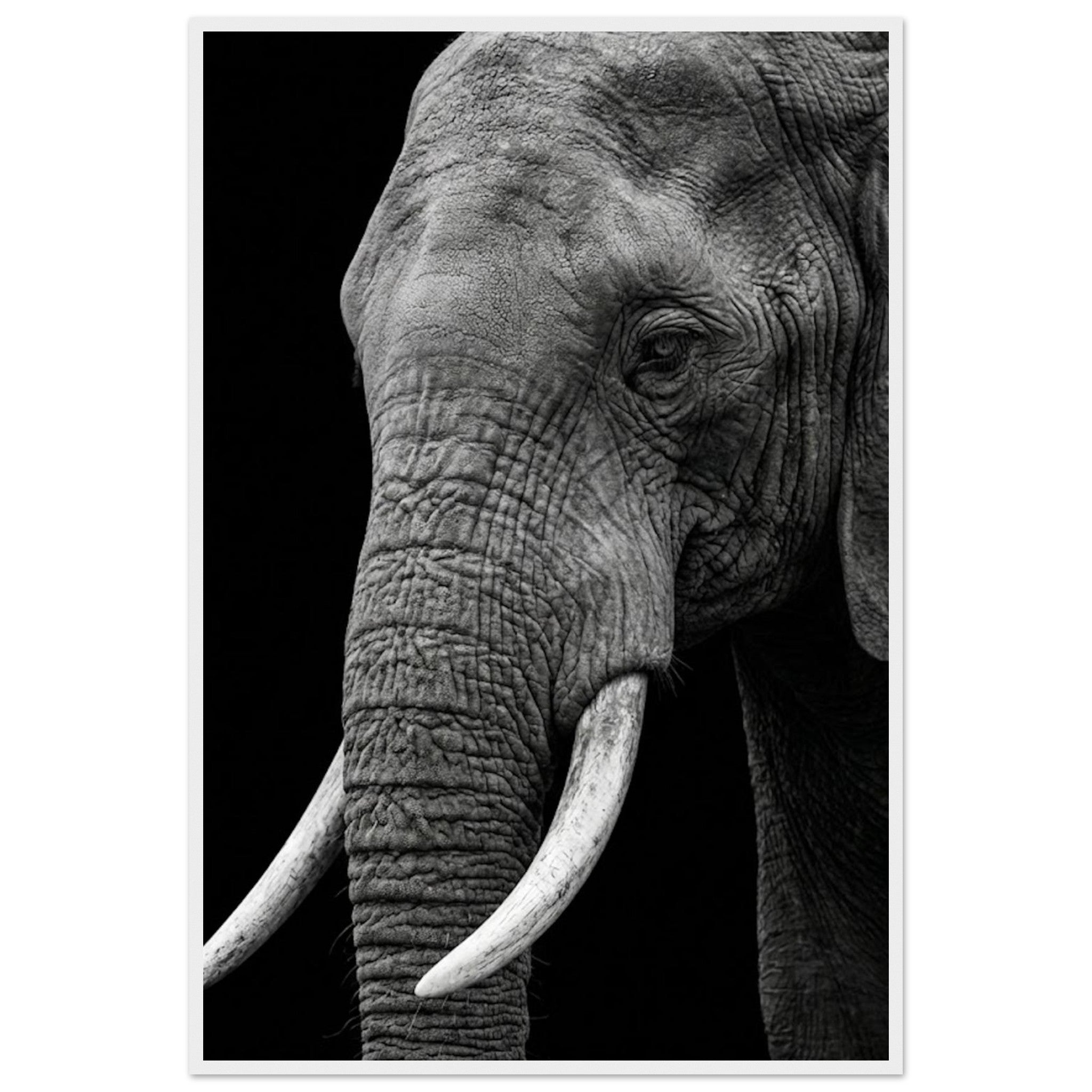 93baff24-1945-456f-b13d-8ccb2e8ce3cf