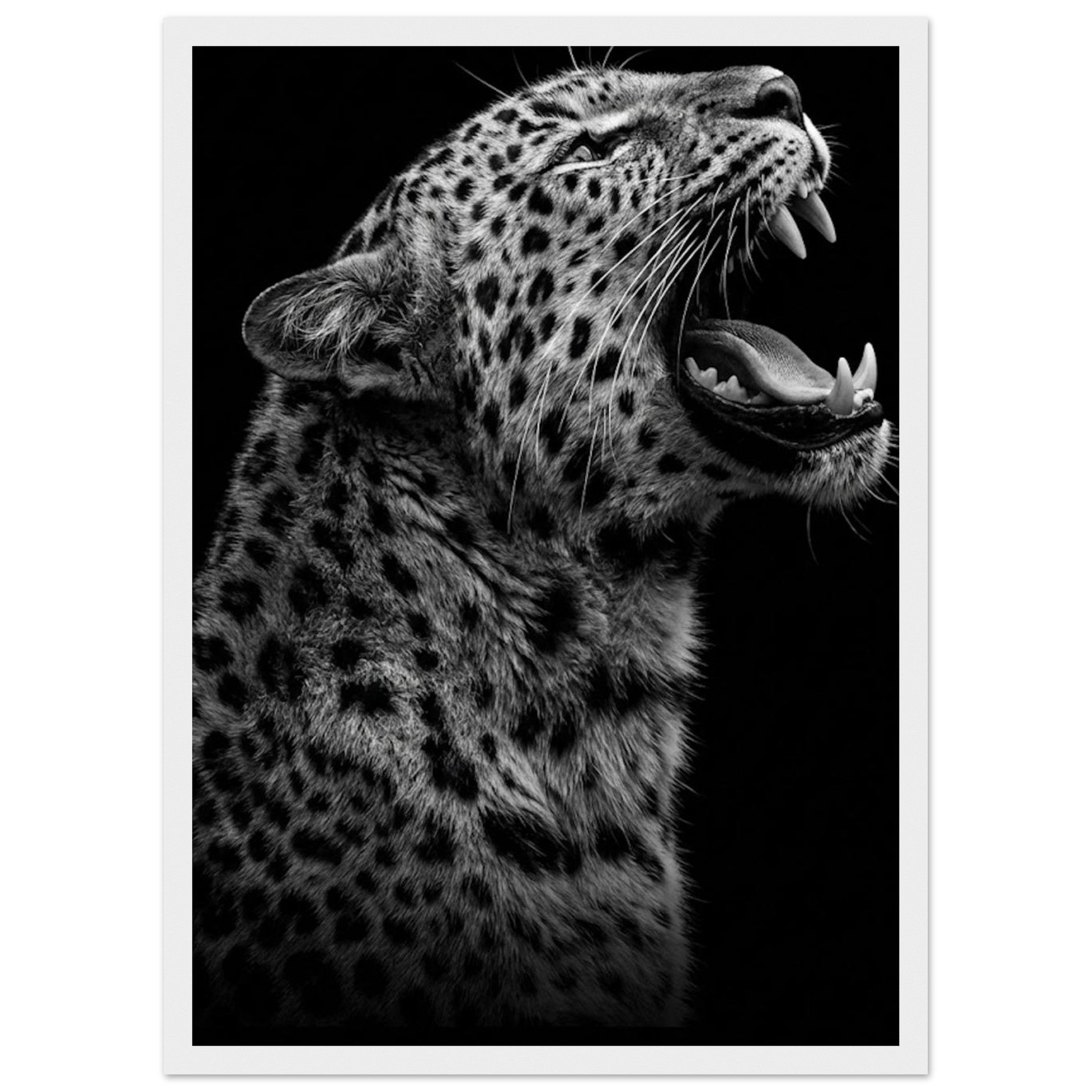 9408594e-3b34-460e-a095-28c445c32dce