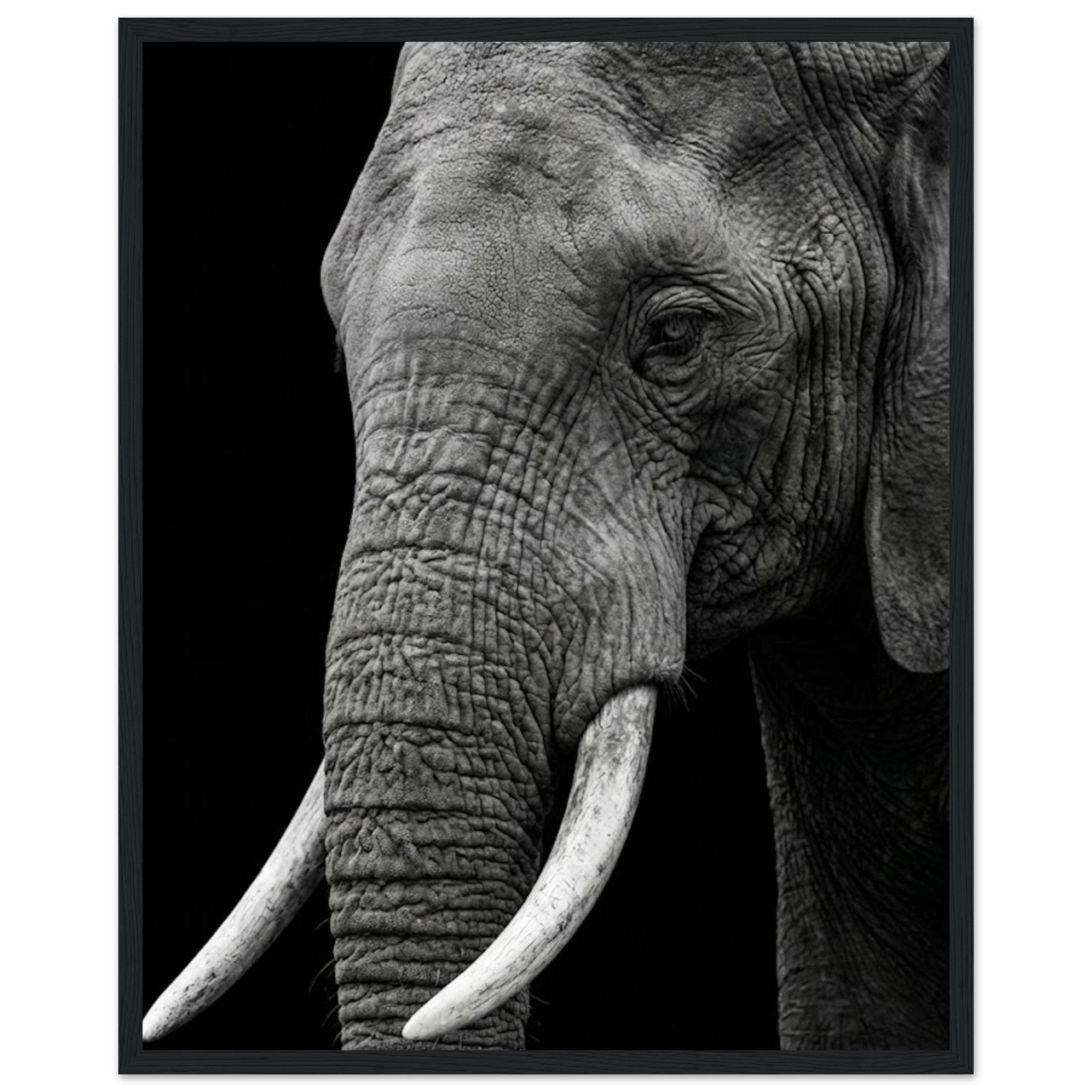 94d795fb-01b3-46d6-ae27-1c5b680fcf03