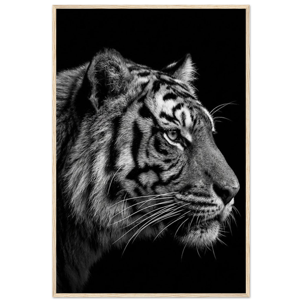 9666766b-29a7-427b-babe-e6edf73fd80f