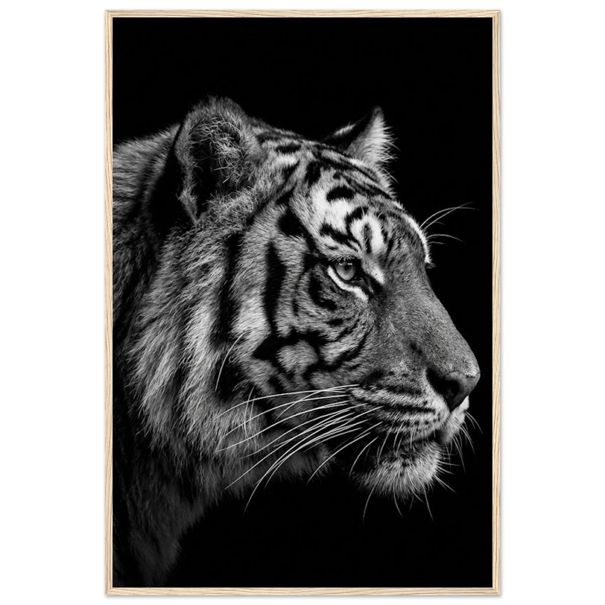 9666766b-29a7-427b-babe-e6edf73fd80f