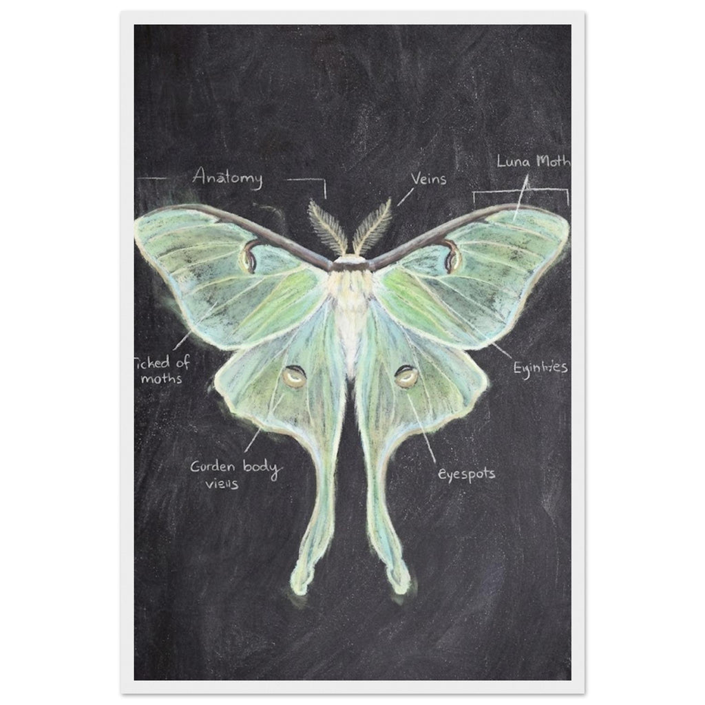 96e17e7a-7fe2-43e0-be36-1c7a9b8c04d7