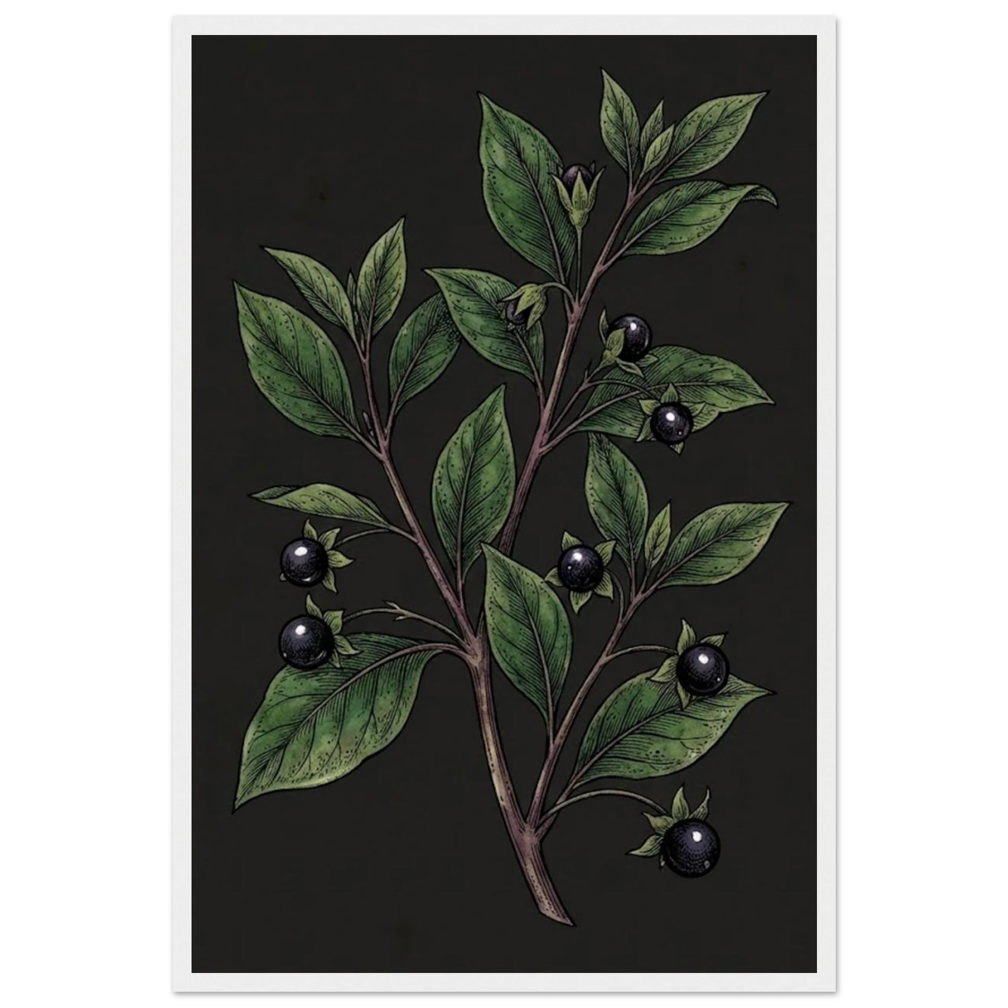 975a833c-31af-45b2-a15b-a18fb2fb4753